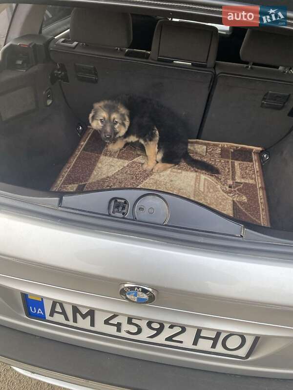 Універсал BMW 3 Series 2004 в Рівному