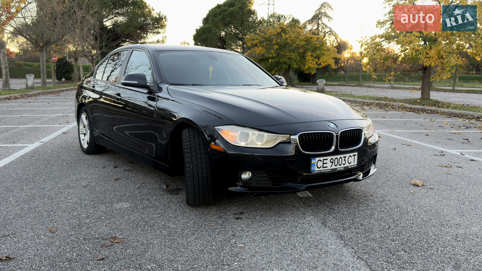 2013 BMW 3er - мініатюра 13