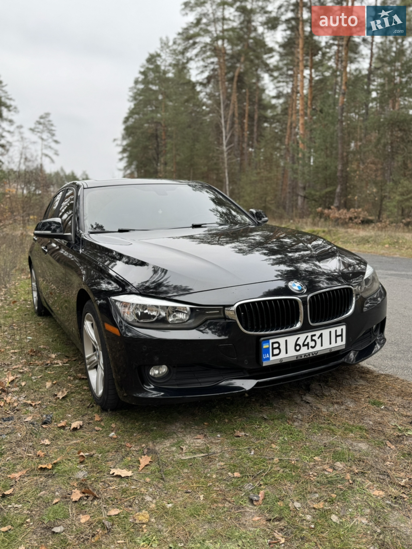 2015 BMW 3er - фото 1