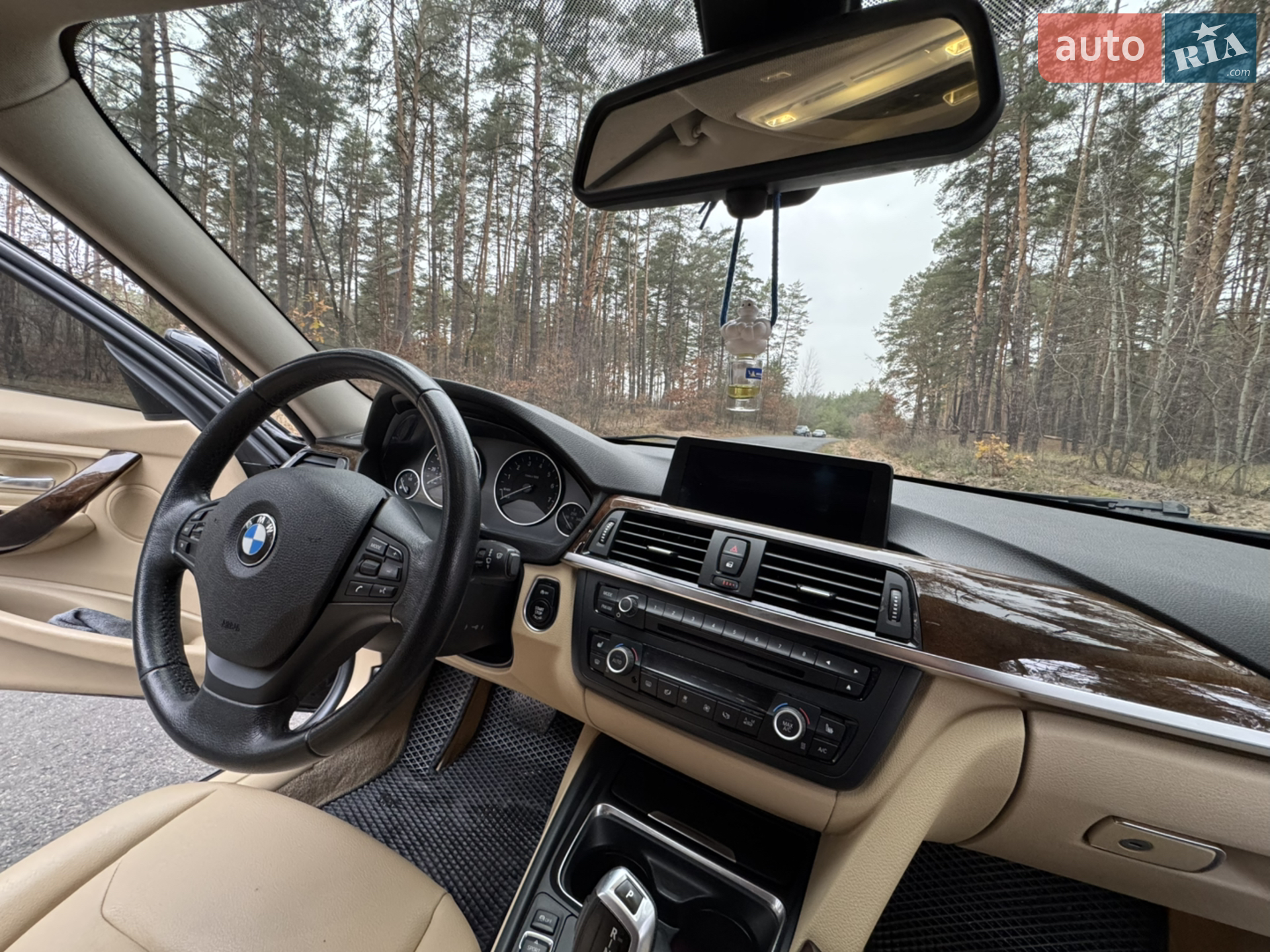 2015 BMW 3er - мініатюра 15