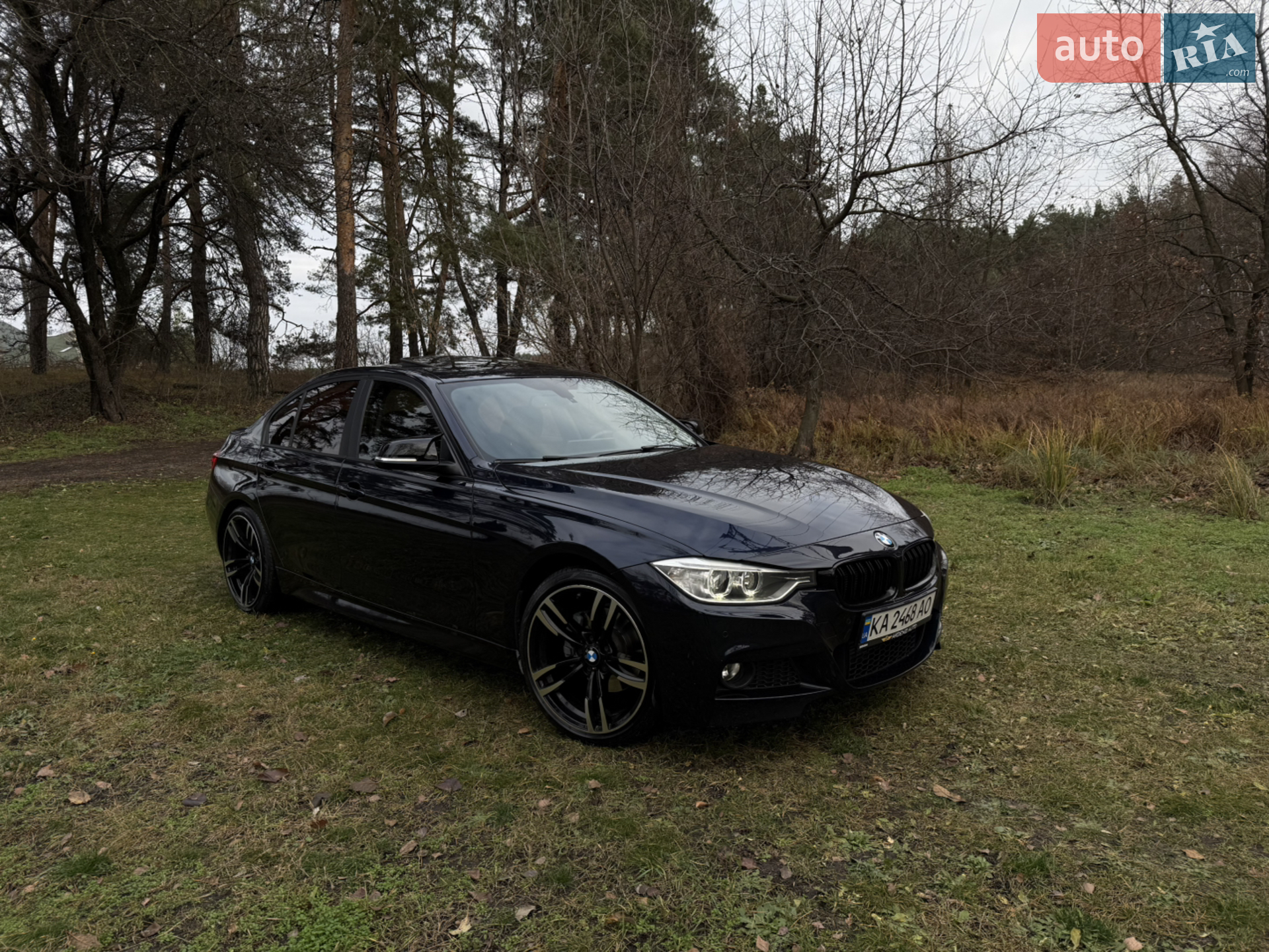 2014 BMW 3er - мініатюра 3