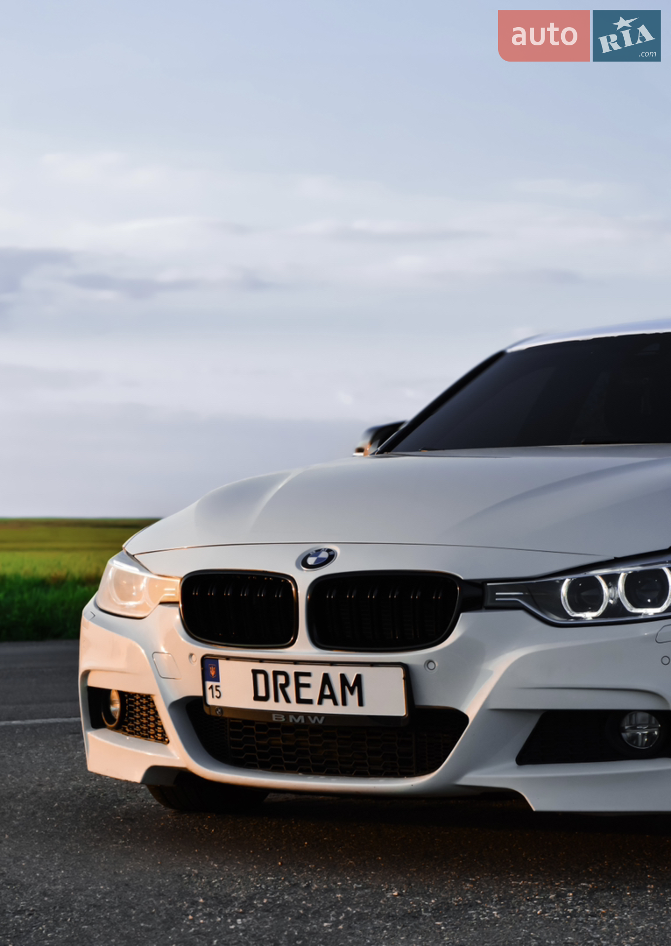 2015 BMW 3er - мініатюра 11