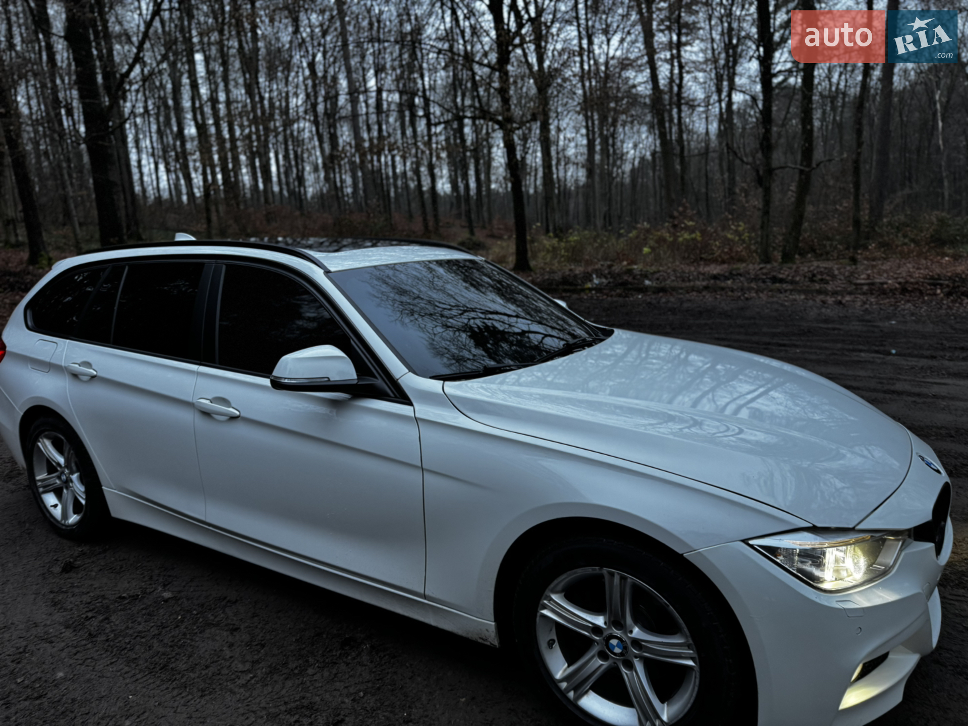 2014 BMW 3er - мініатюра 3