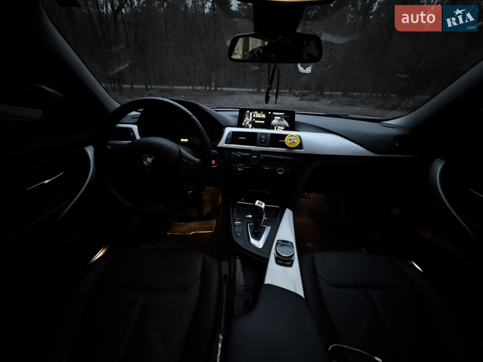 2014 BMW 3er - мініатюра 21
