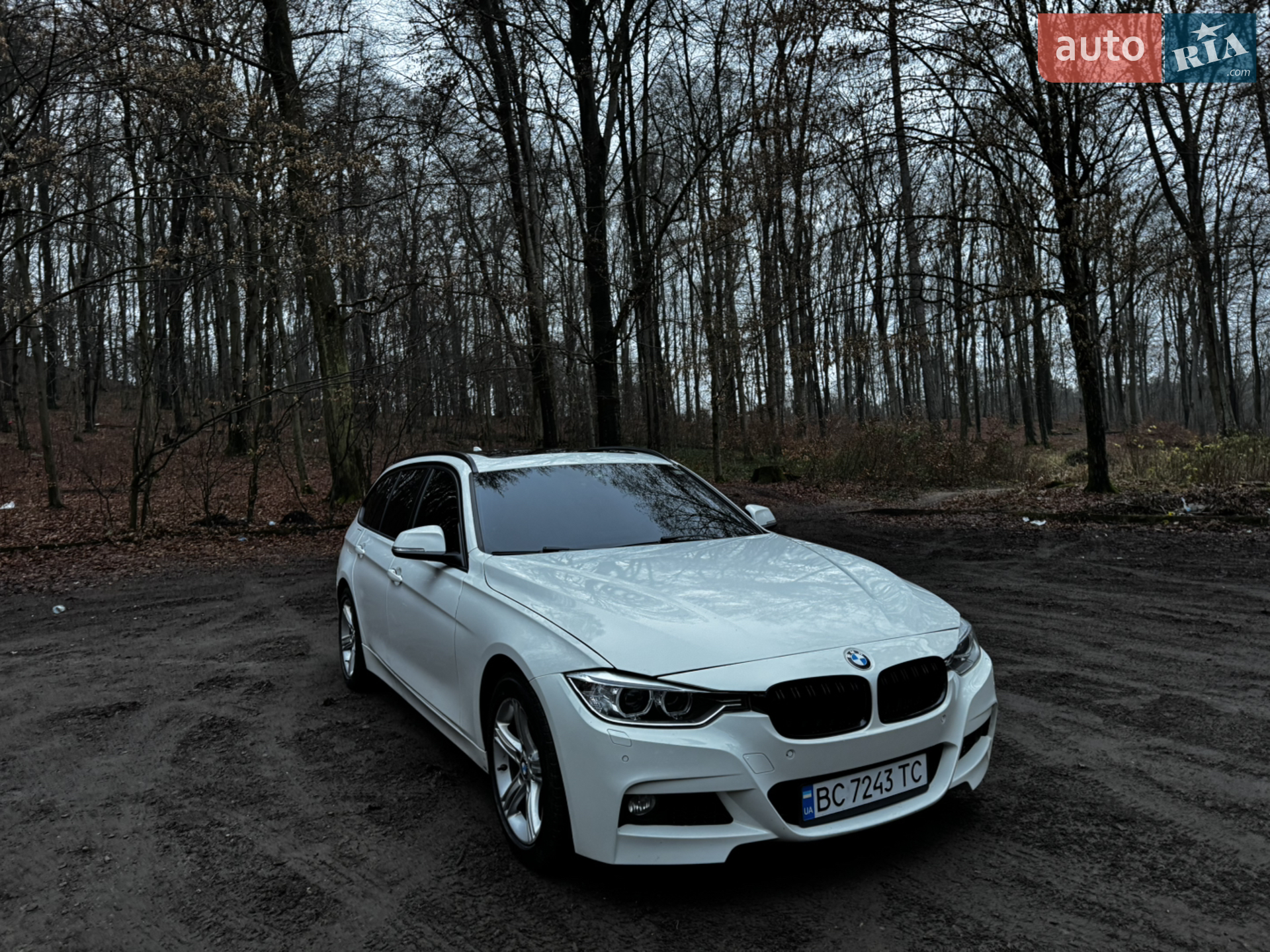 2014 BMW 3er - мініатюра 33