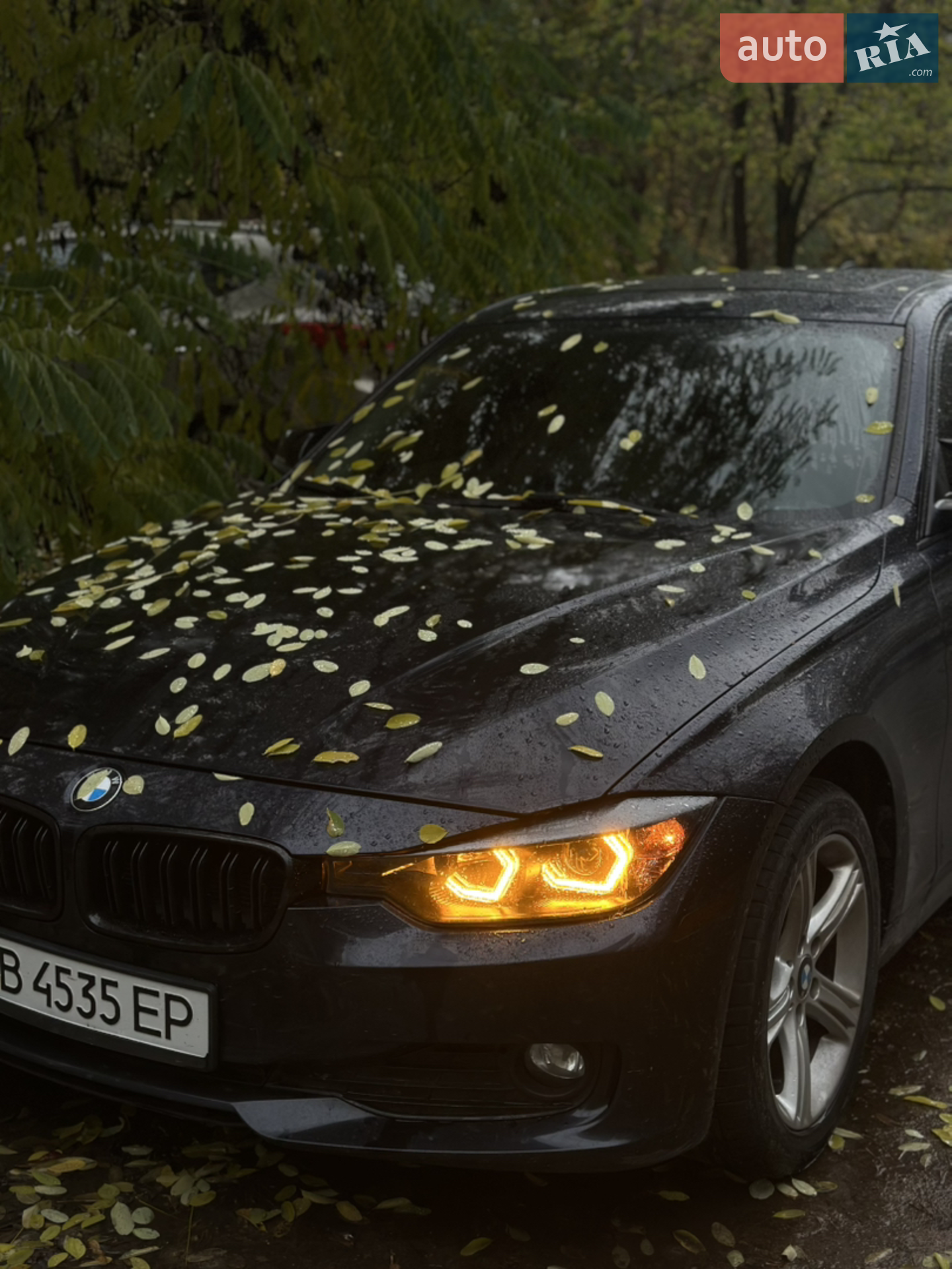 2014 BMW 3er - мініатюра 11