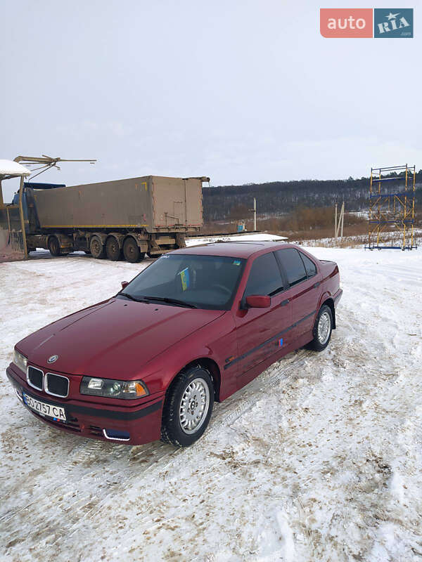 BMW 3 Series 1995 BMW 3 Series 1995