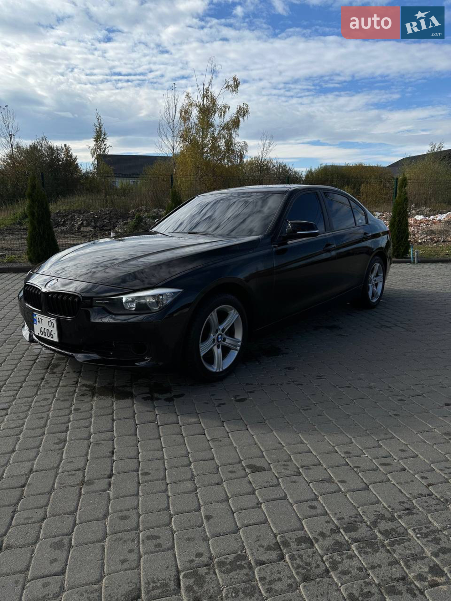 2013 BMW 3er - мініатюра 7