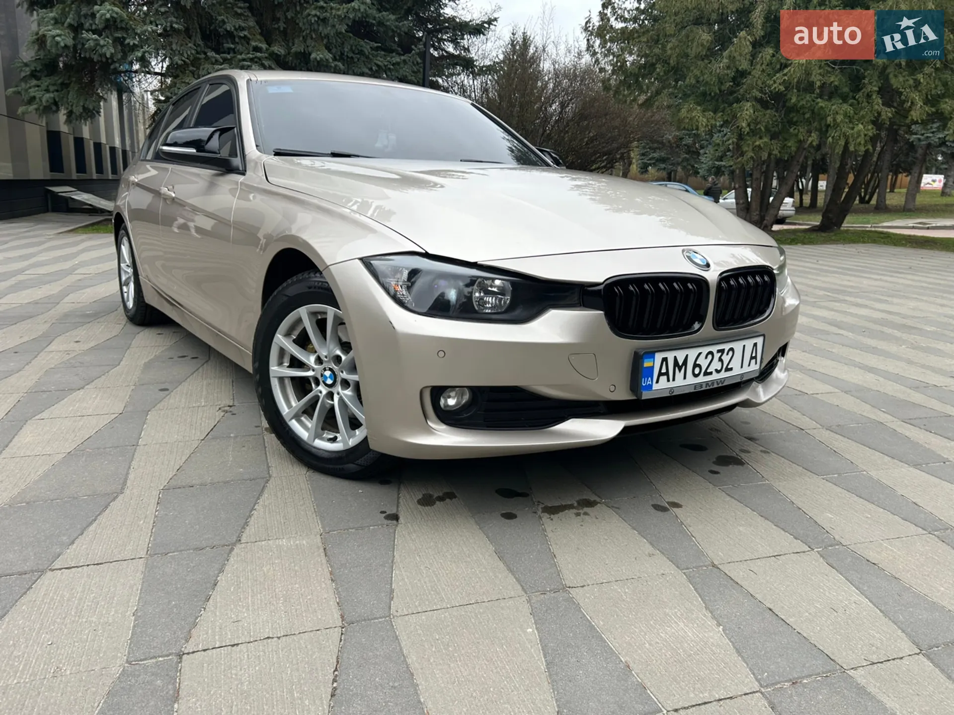 2013 BMW 3er - мініатюра 2