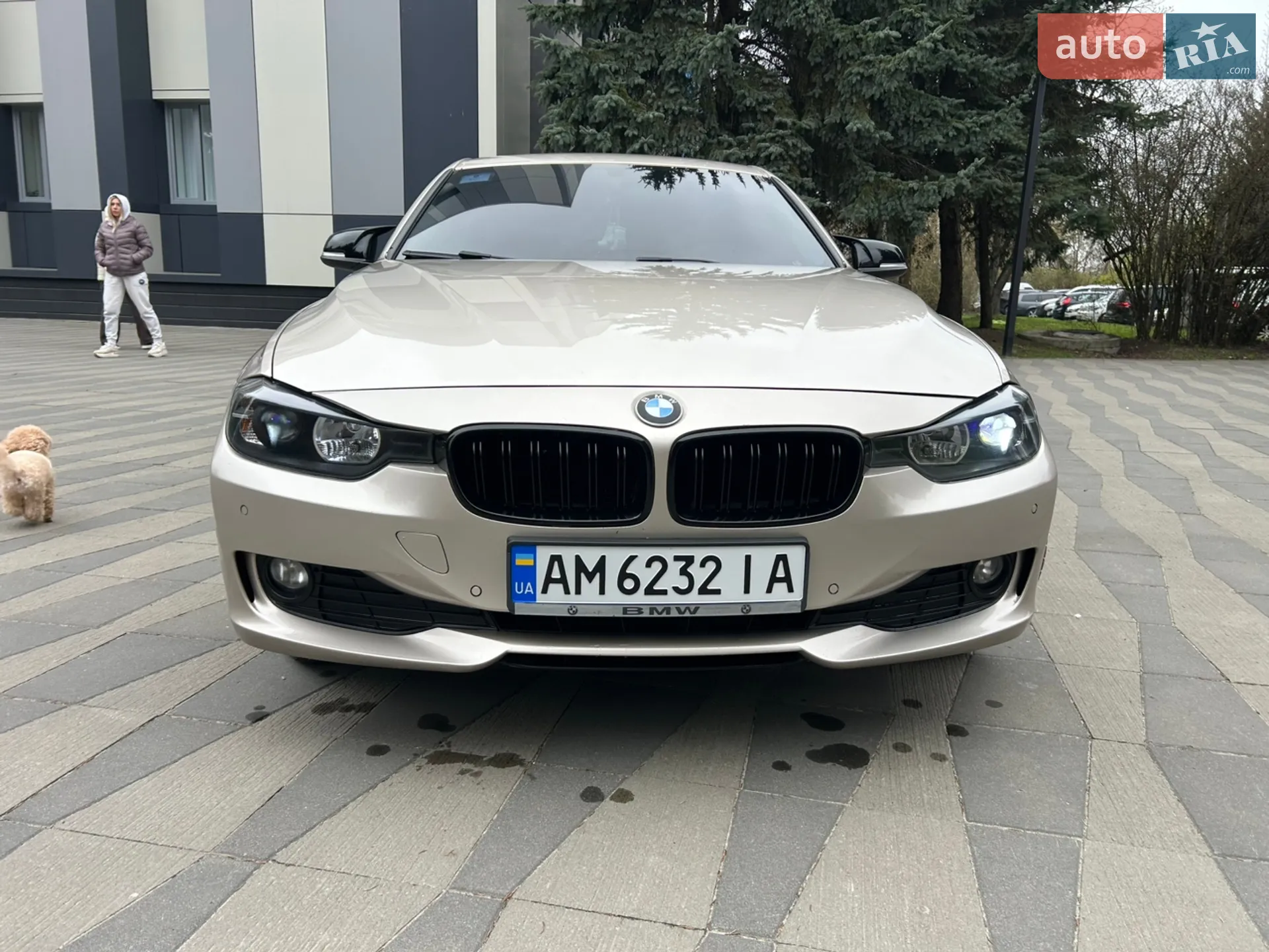 2013 BMW 3er - мініатюра 11