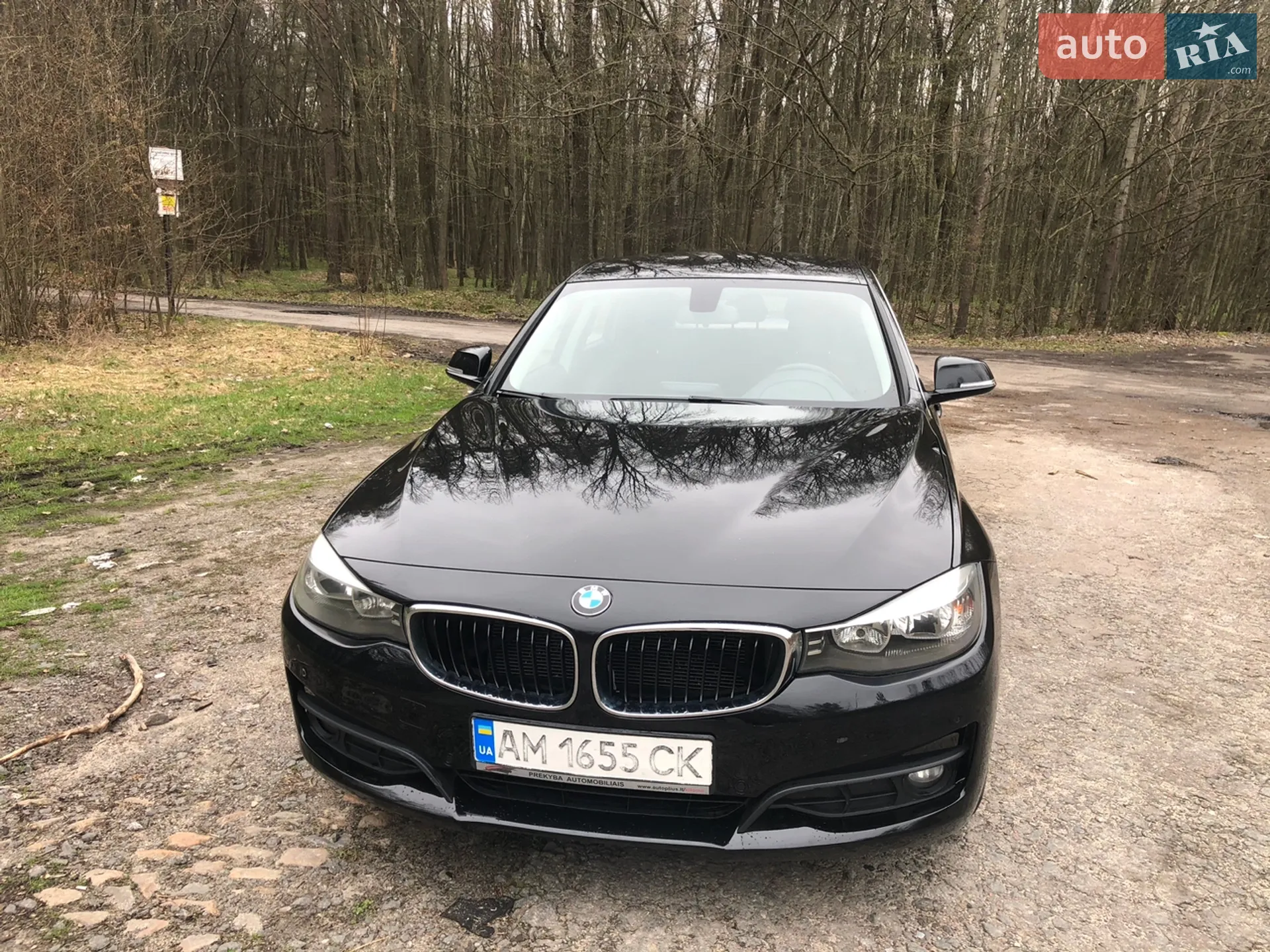 2014 BMW 3er - мініатюра 2