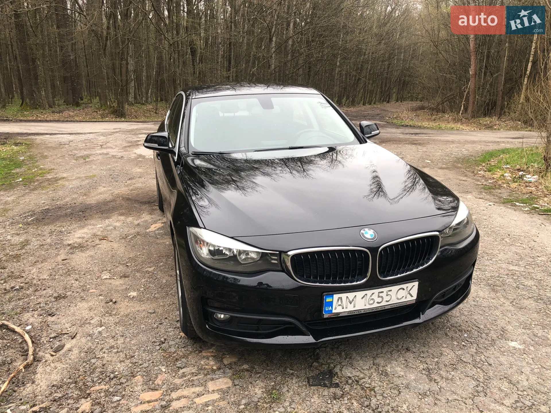 2014 BMW 3er - мініатюра 3