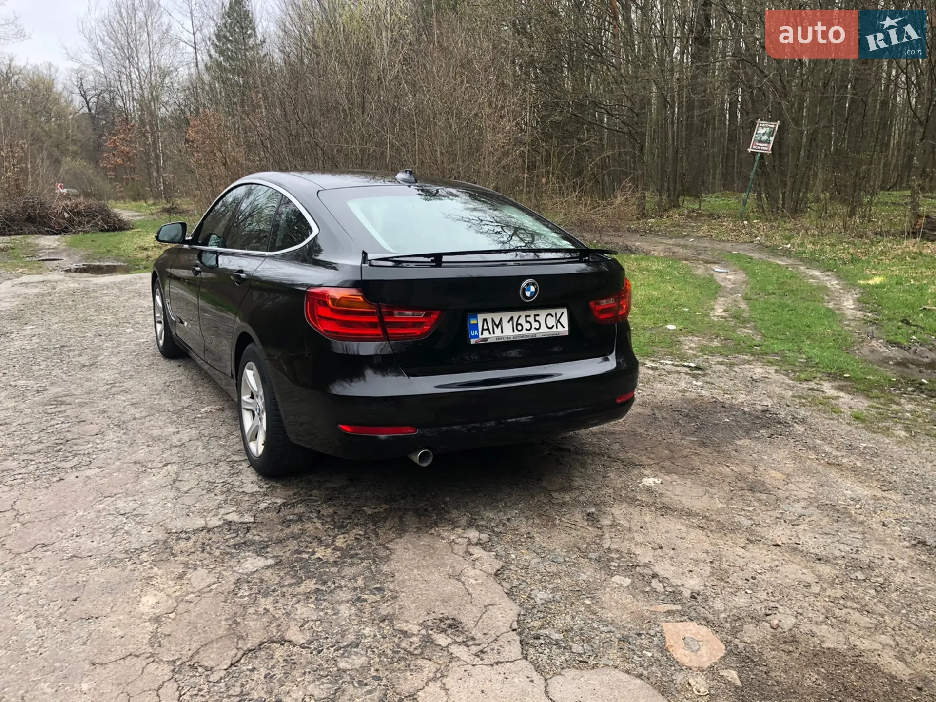 2014 BMW 3er - мініатюра 6