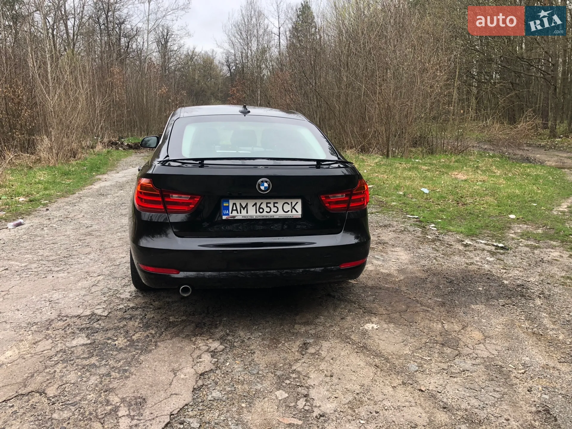 2014 BMW 3er - мініатюра 7