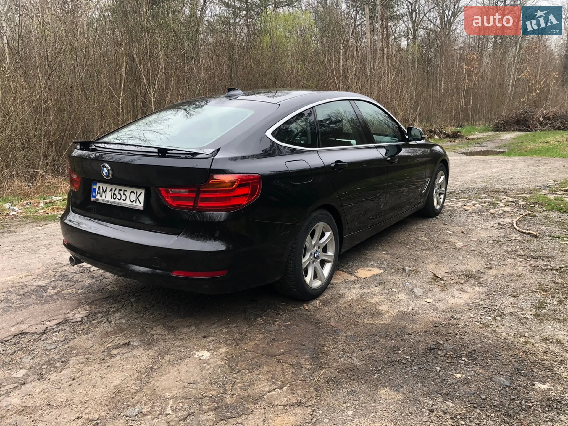 2014 BMW 3er - мініатюра 8
