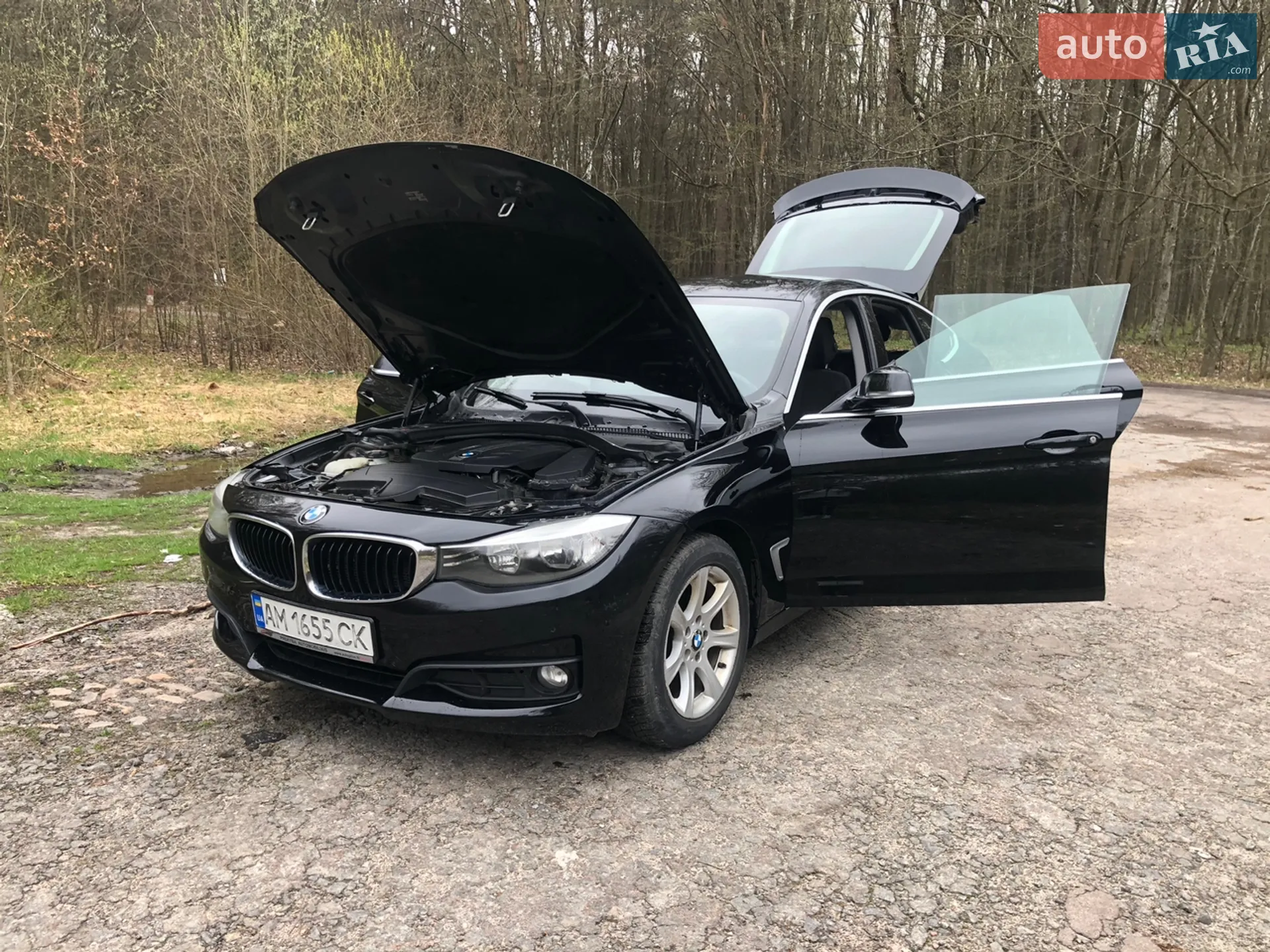 2014 BMW 3er - мініатюра 10