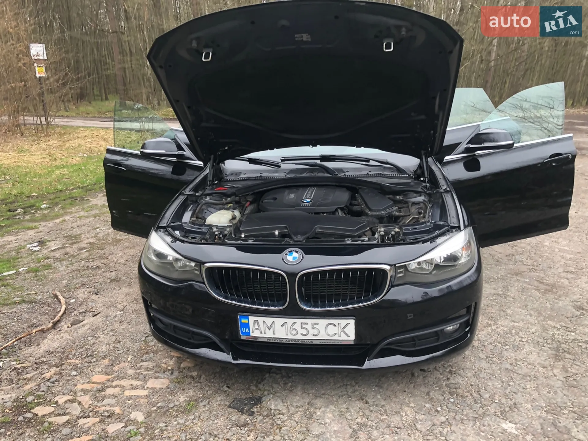 2014 BMW 3er - мініатюра 11