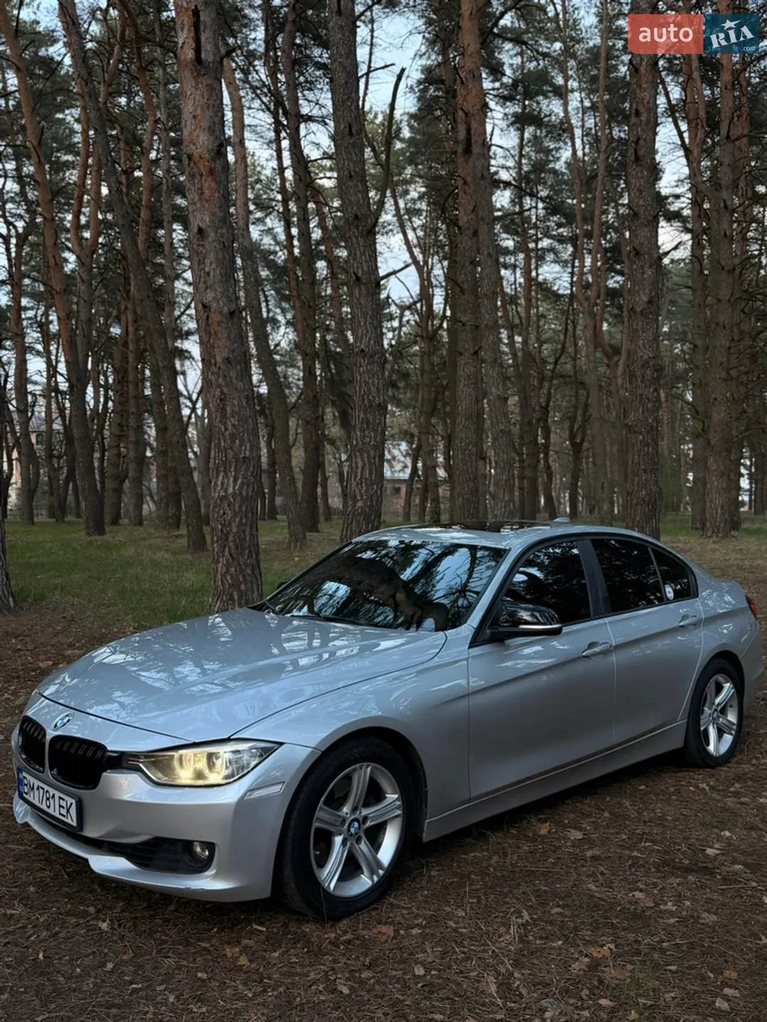 2013 BMW 3er - мініатюра 8