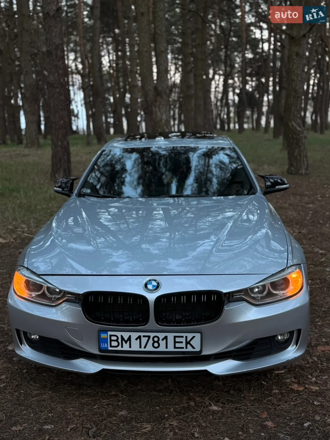 2013 BMW 3er - мініатюра 11