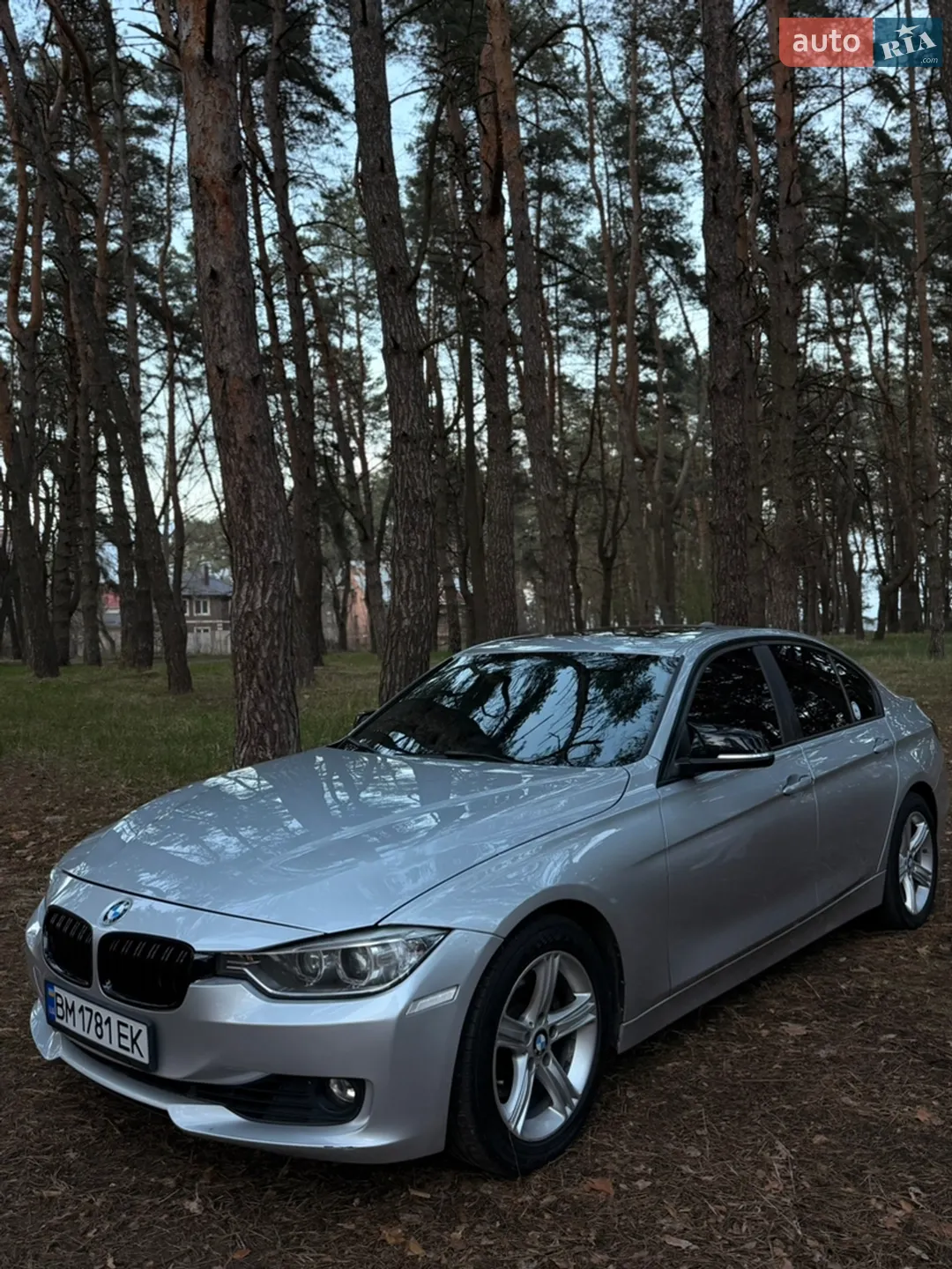 2013 BMW 3er - мініатюра 25