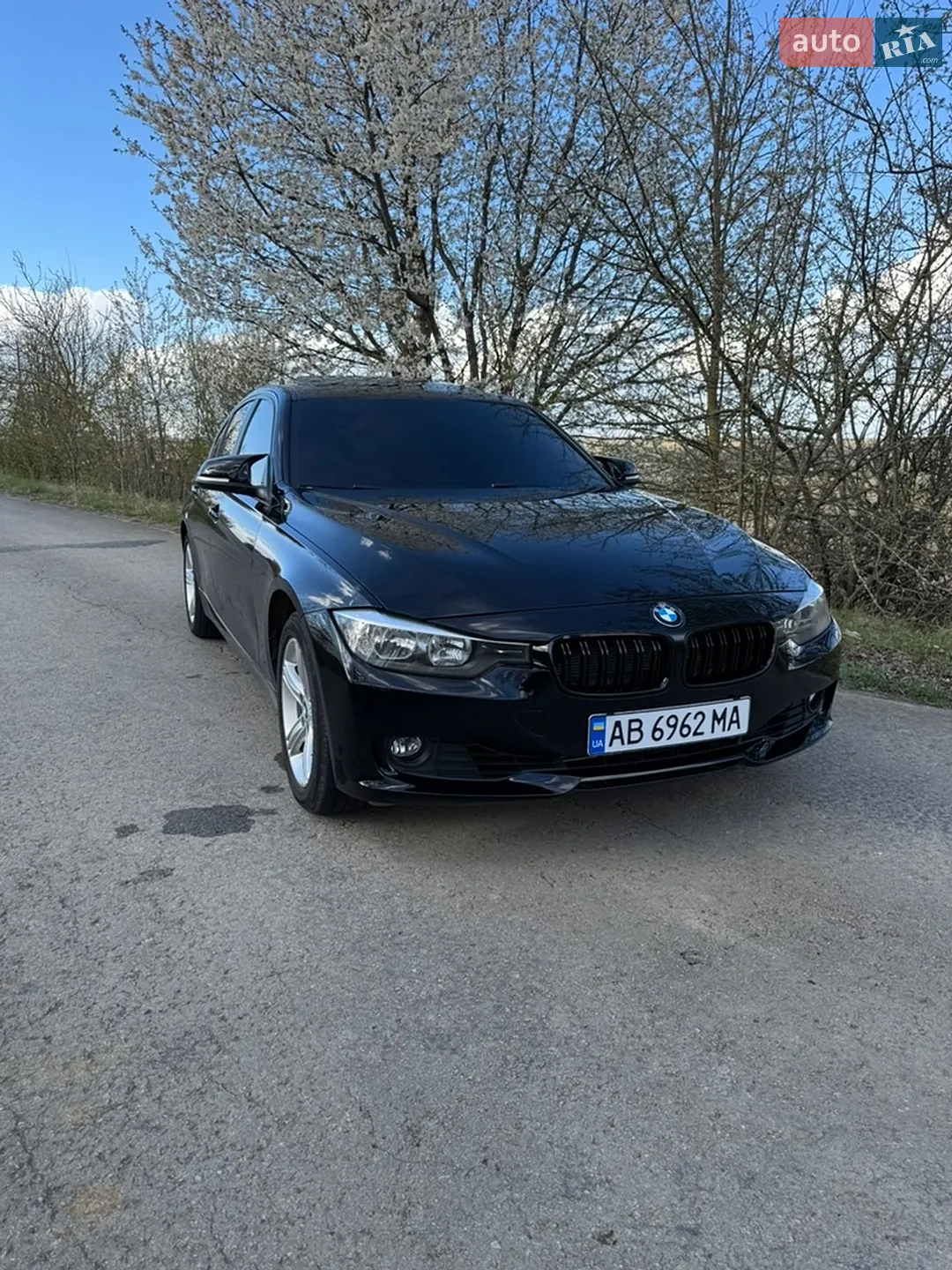 2013 BMW 3er - мініатюра 7