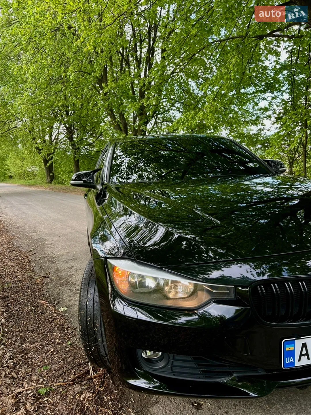 2013 BMW 3er - мініатюра 9