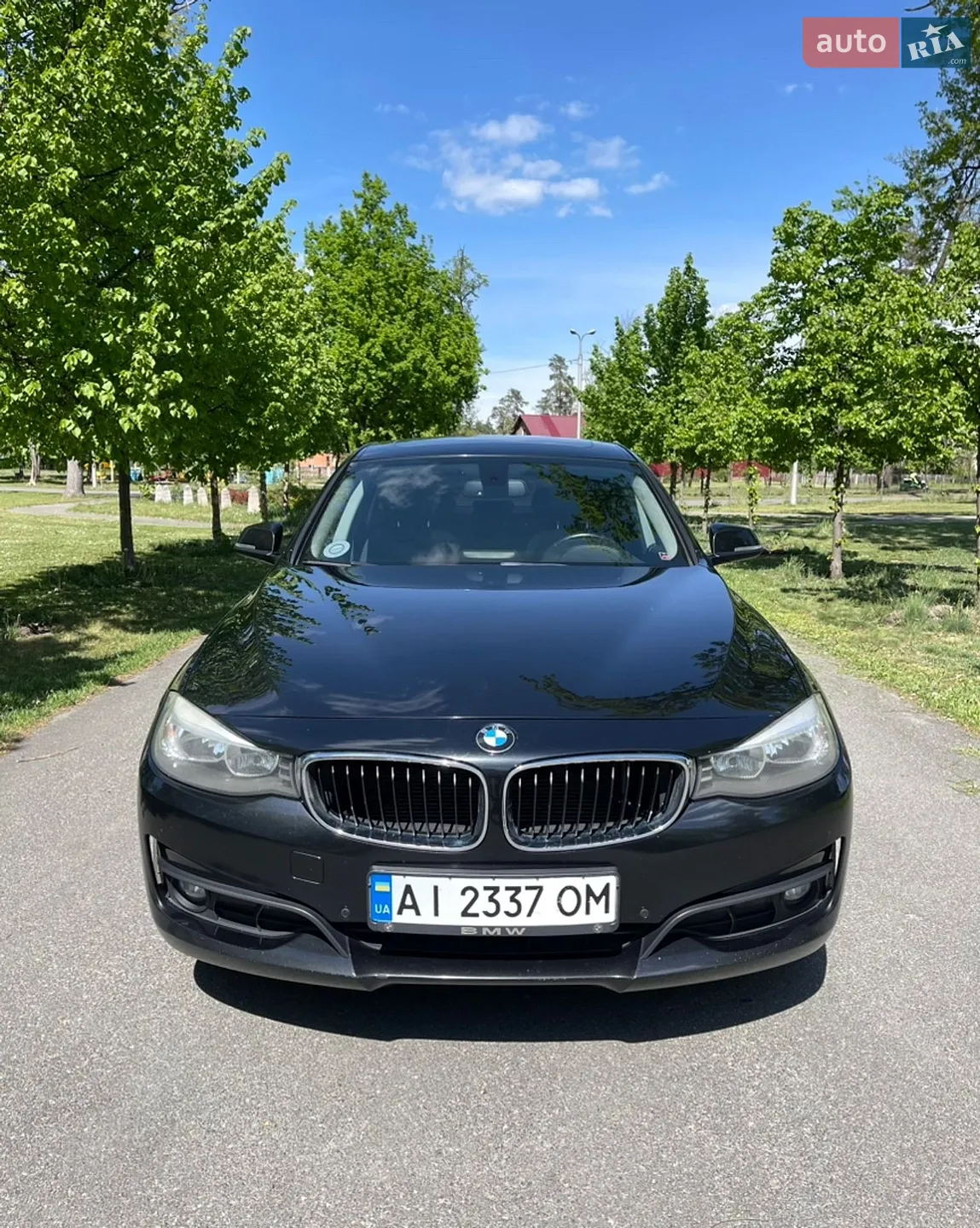 2014 BMW 3er - мініатюра 2