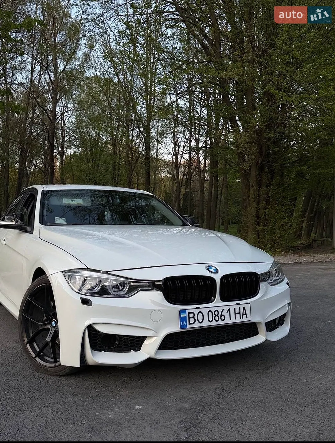 2013 BMW 3er - мініатюра 3