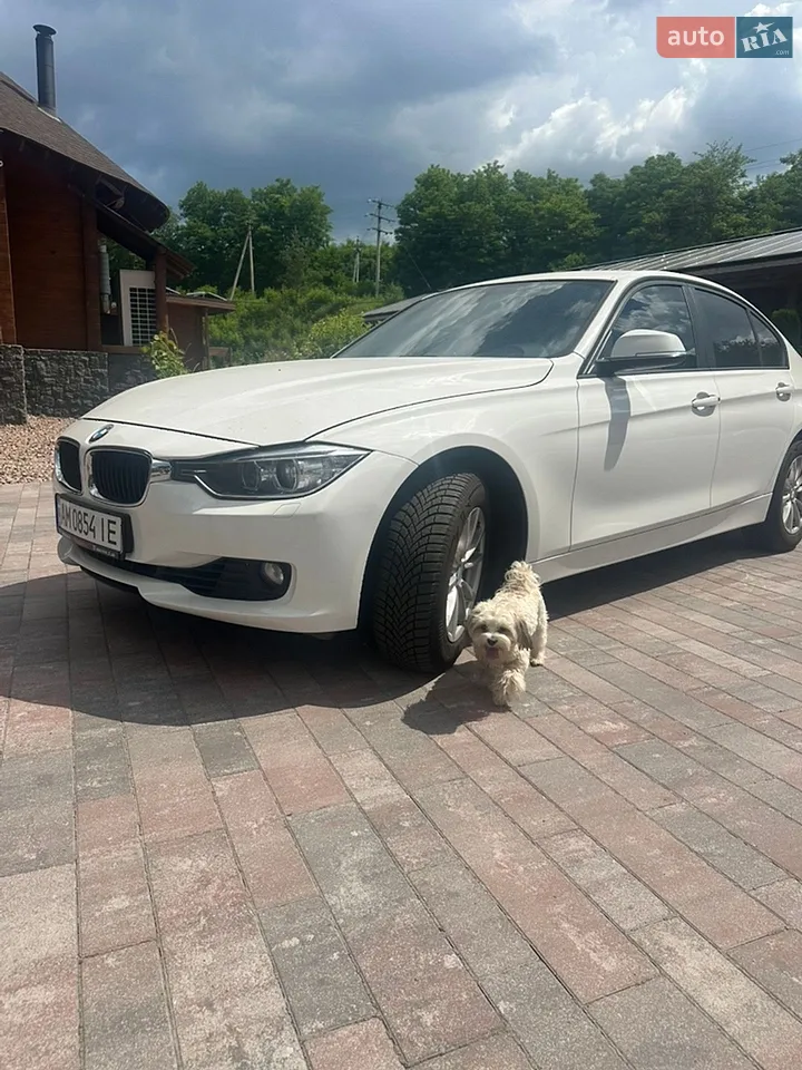 2013 BMW 3er - мініатюра 26
