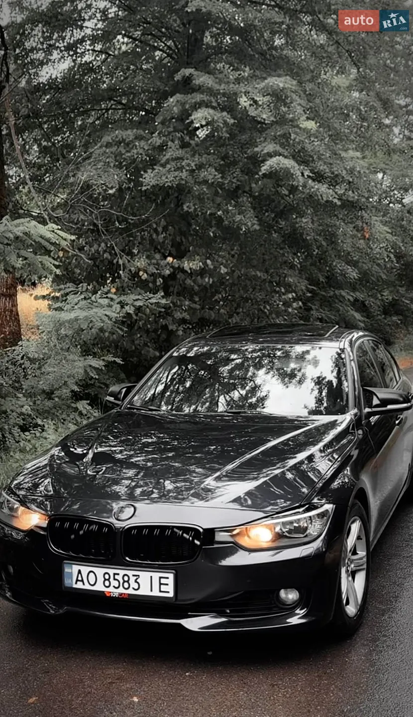 2014 BMW 3er - мініатюра 3