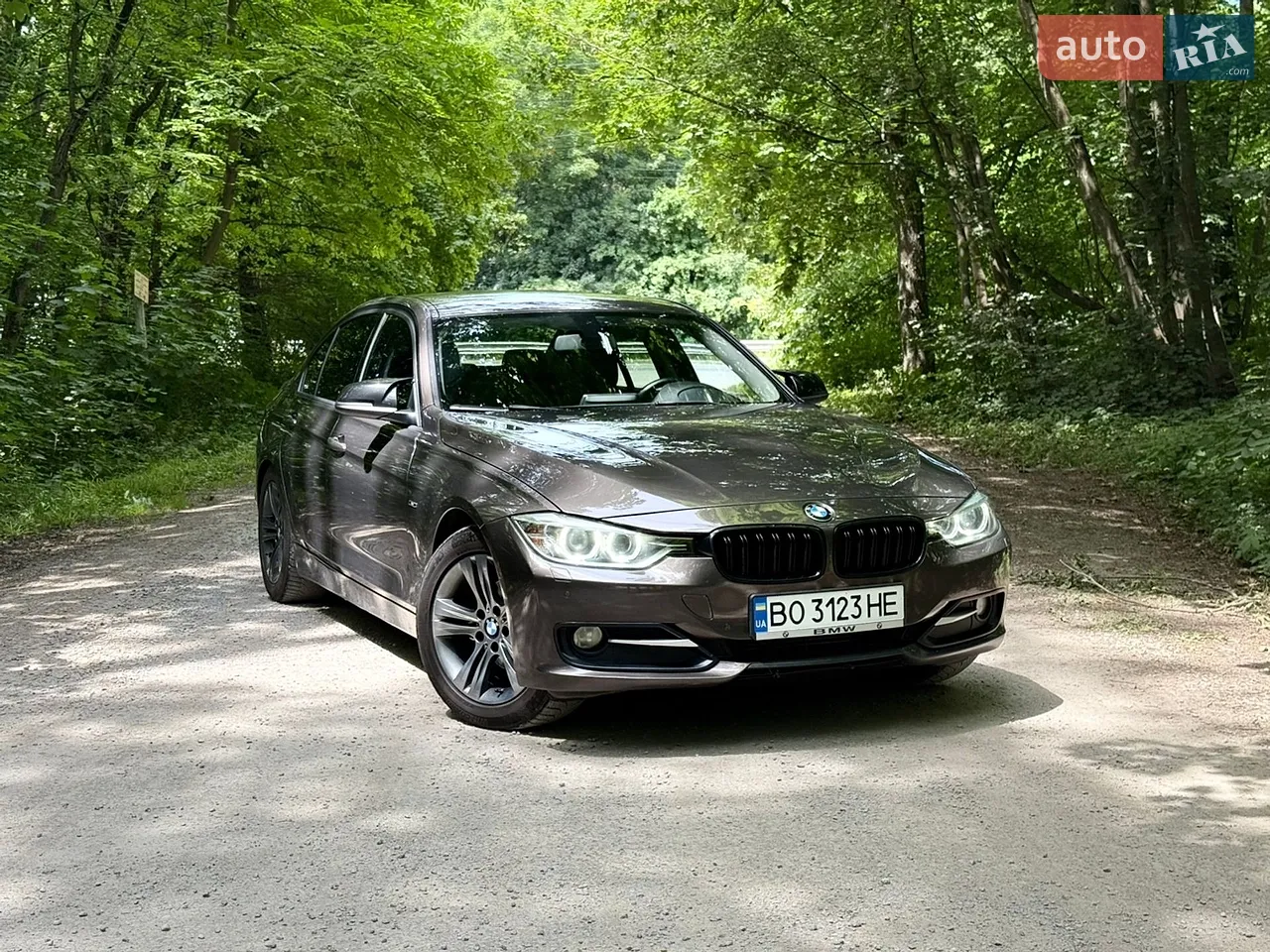 2013 BMW 3er - мініатюра 9