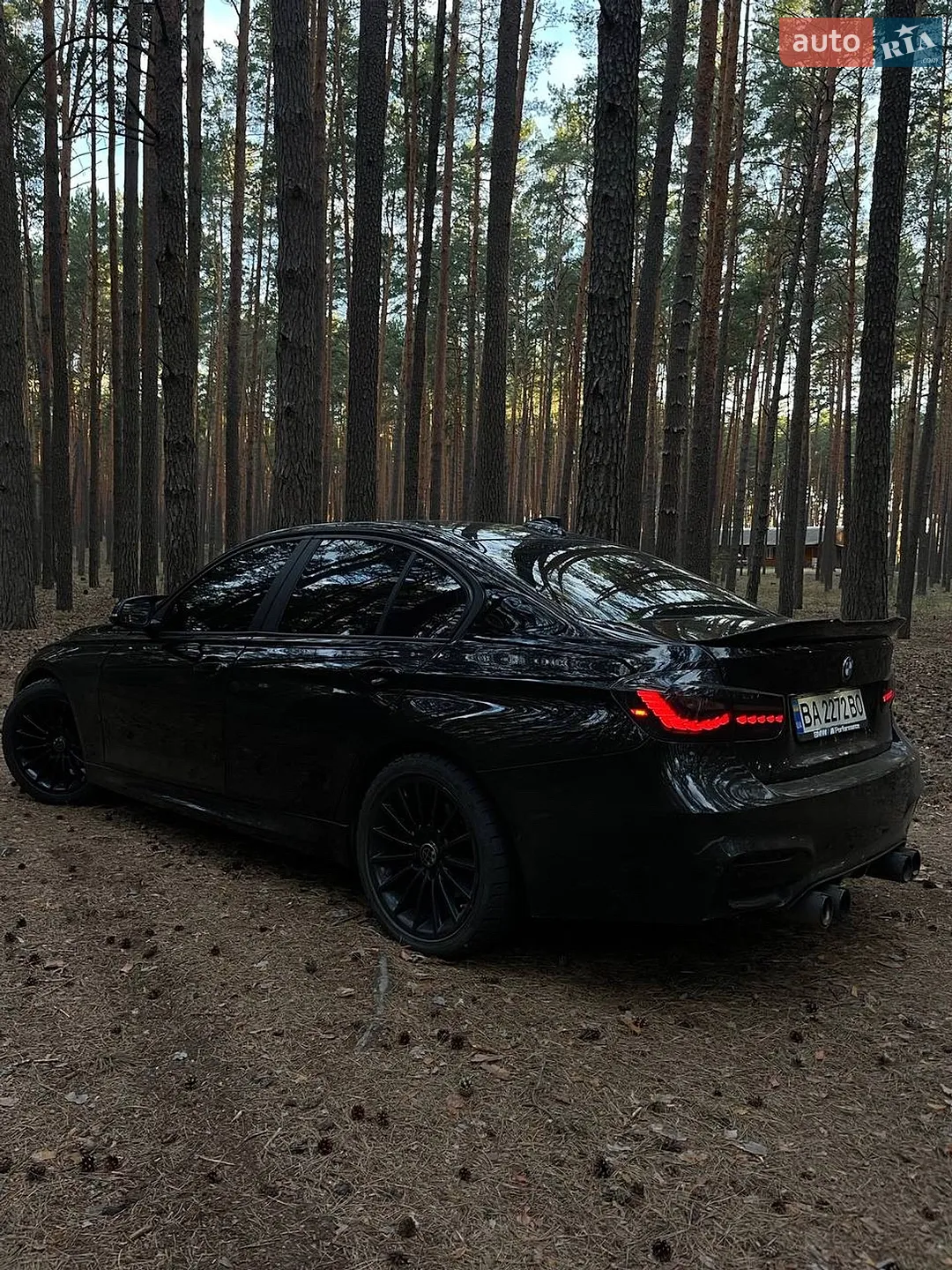 2014 BMW 3er - мініатюра 3