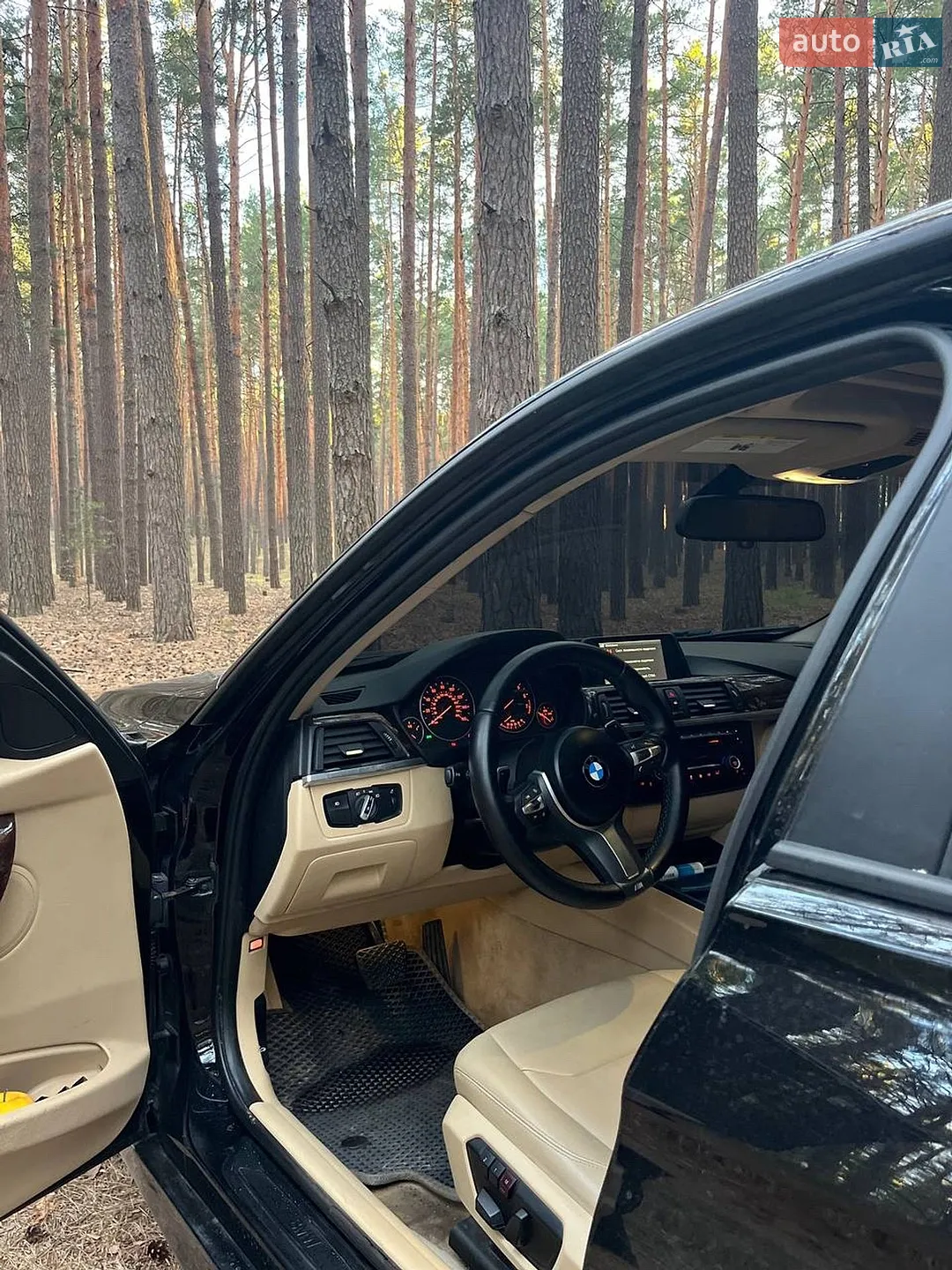 2014 BMW 3er - мініатюра 4