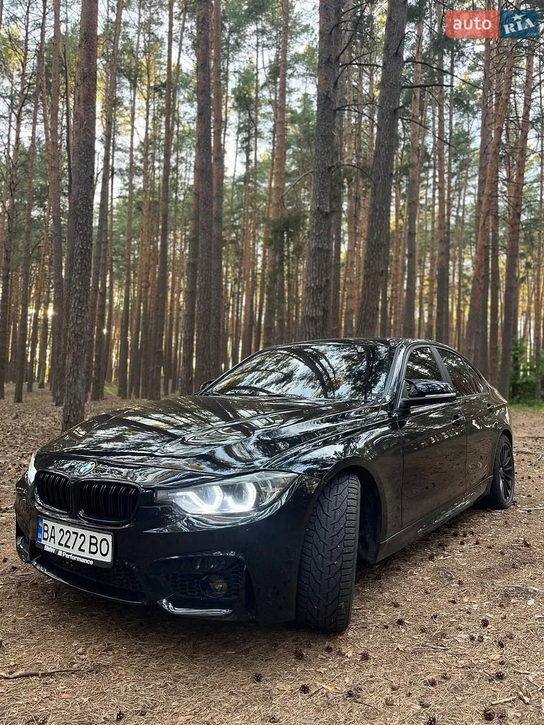 2014 BMW 3er - мініатюра 5