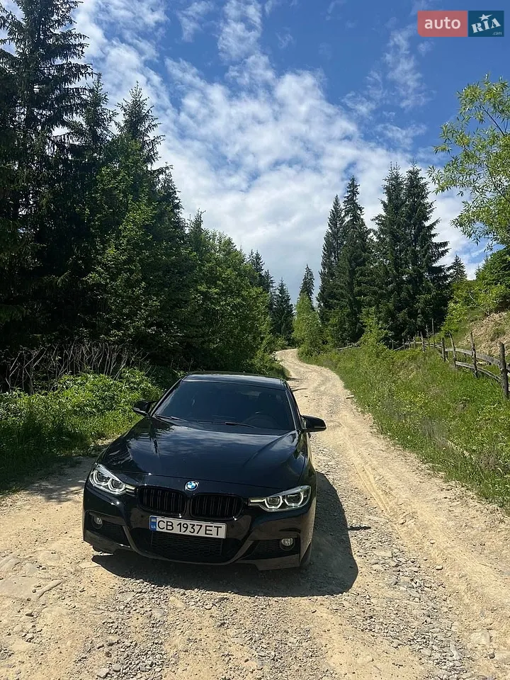 2015 BMW 3er - мініатюра 21