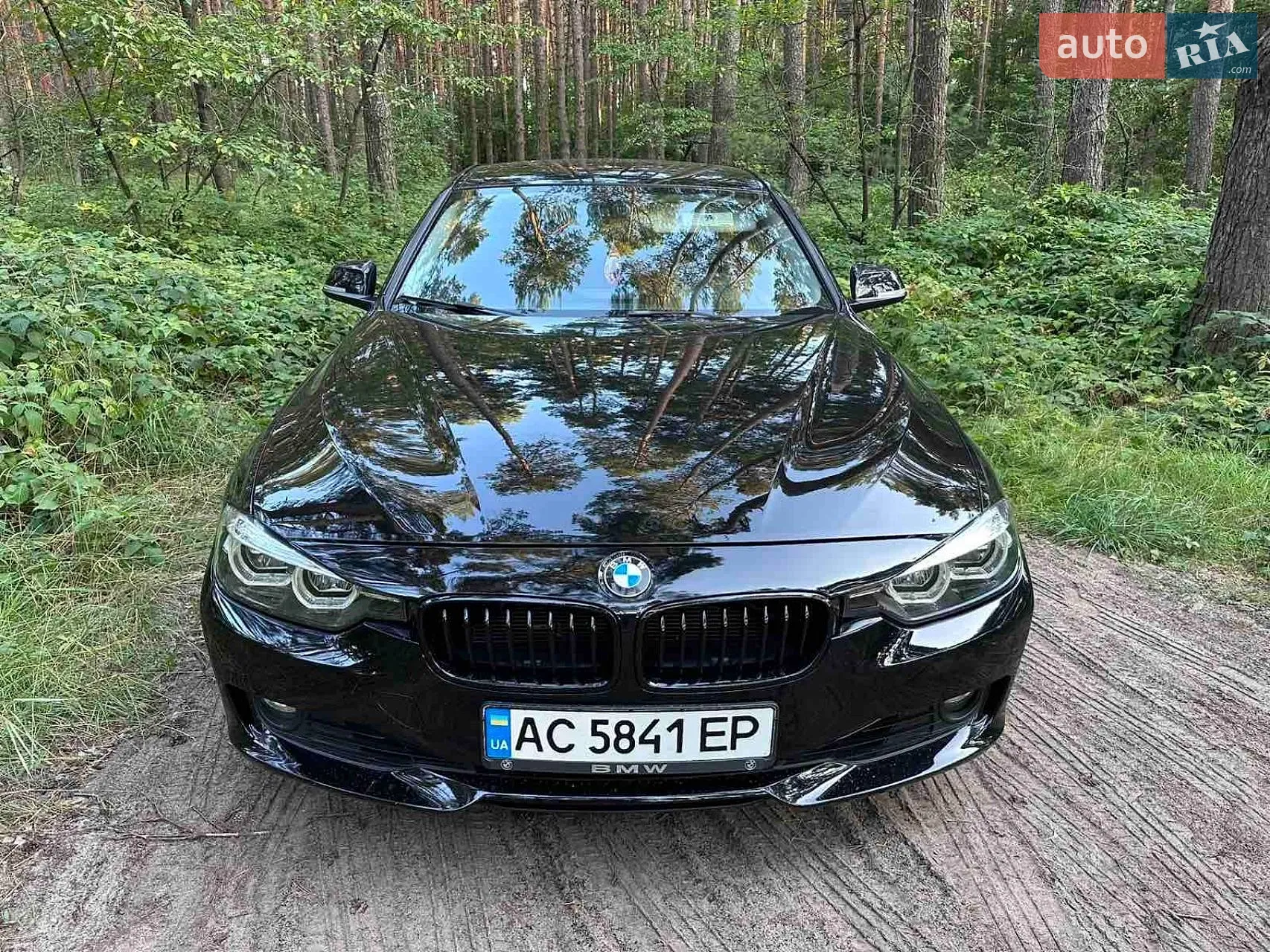 2013 BMW 3er - мініатюра 9