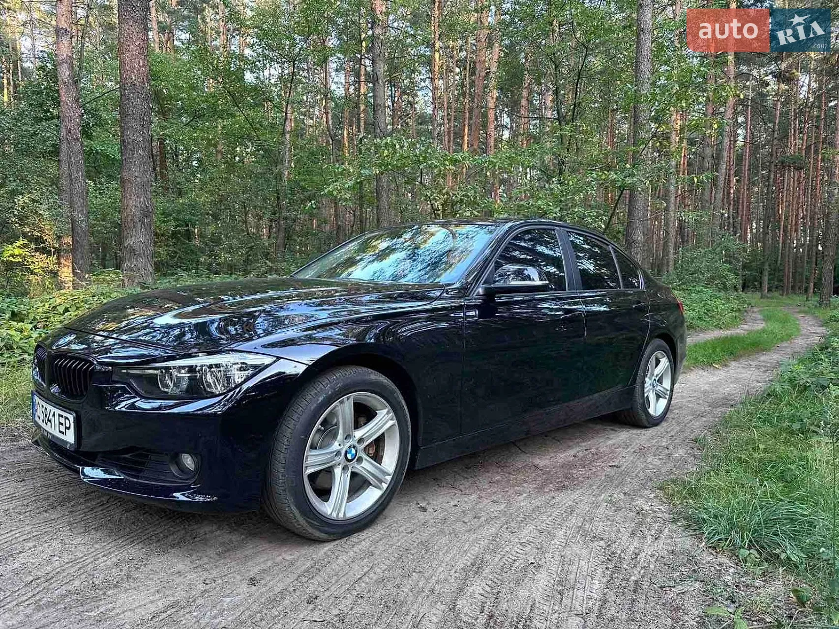 2013 BMW 3er - мініатюра 7