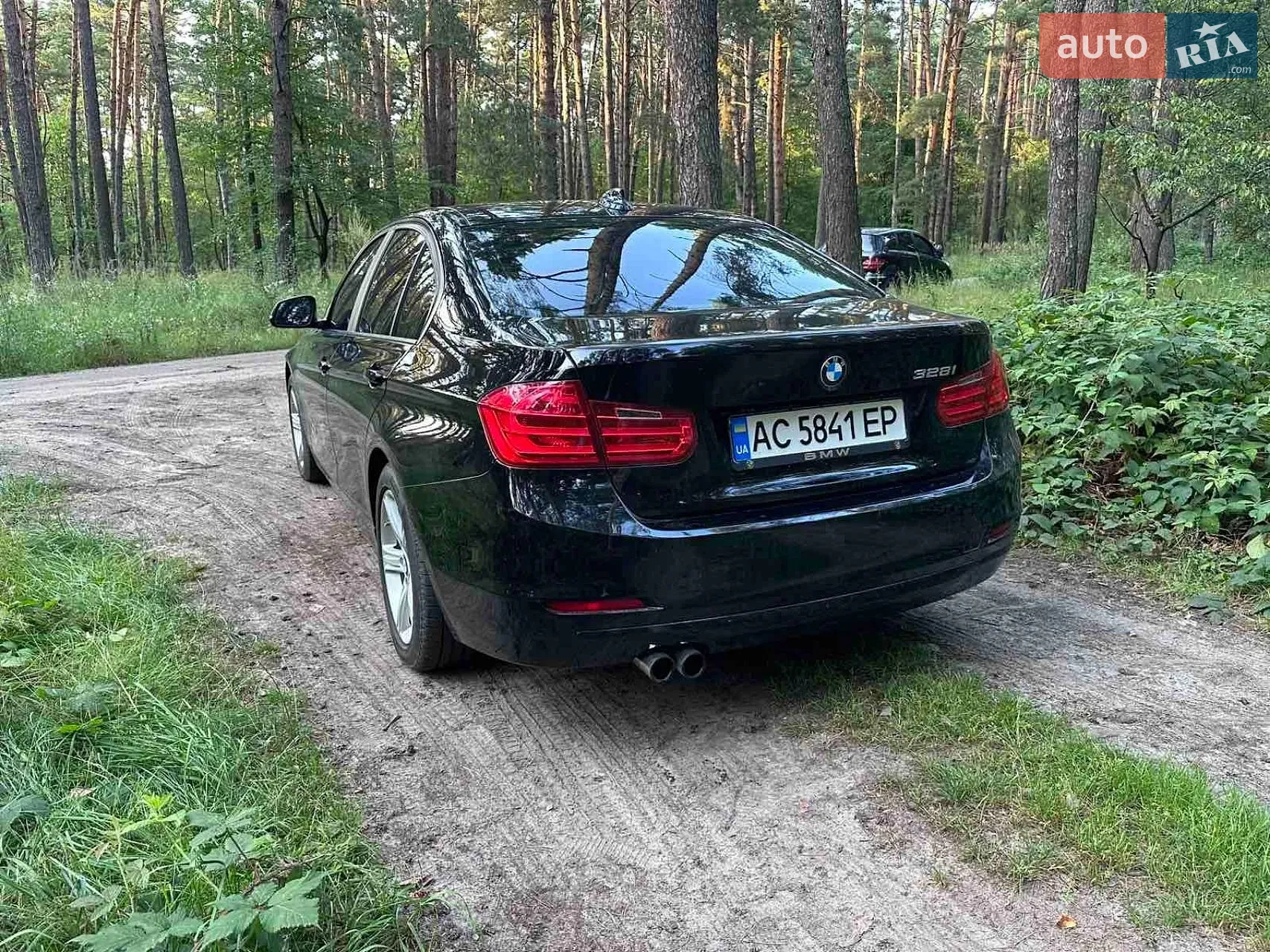2013 BMW 3er - мініатюра 3