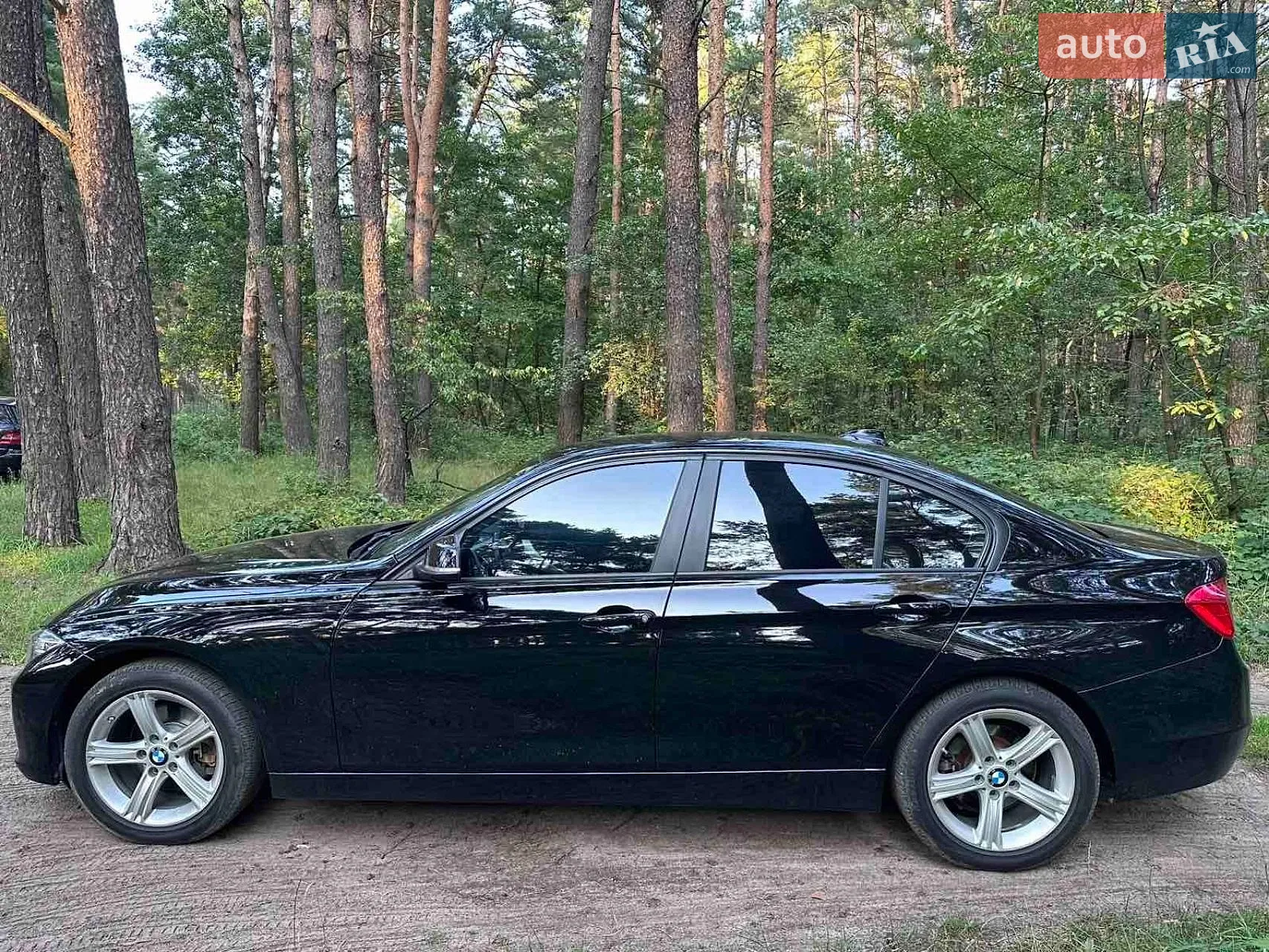 2013 BMW 3er - мініатюра 8