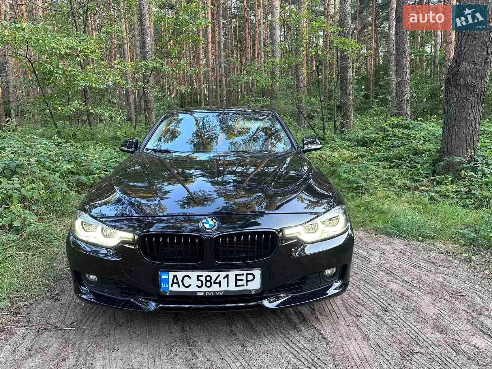 2013 BMW 3er - фото 1