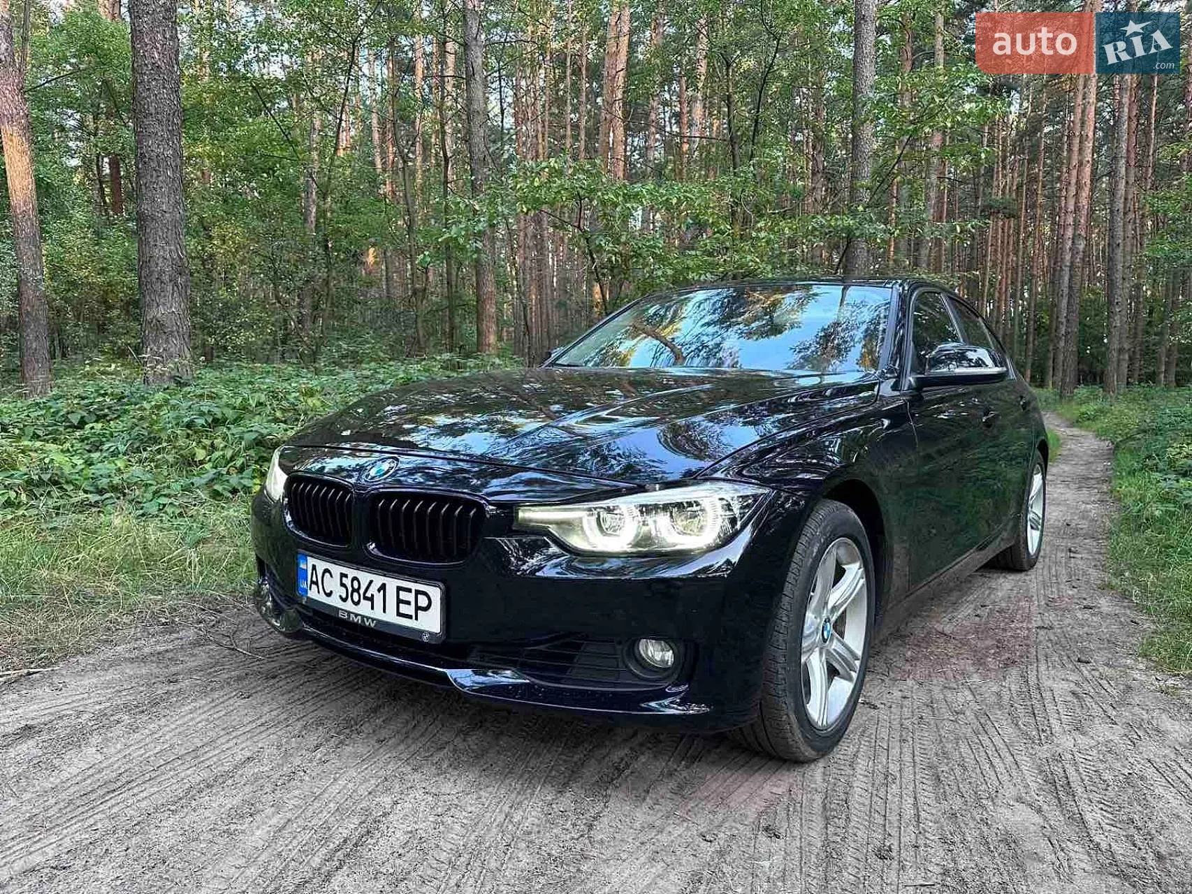 2013 BMW 3er - мініатюра 10