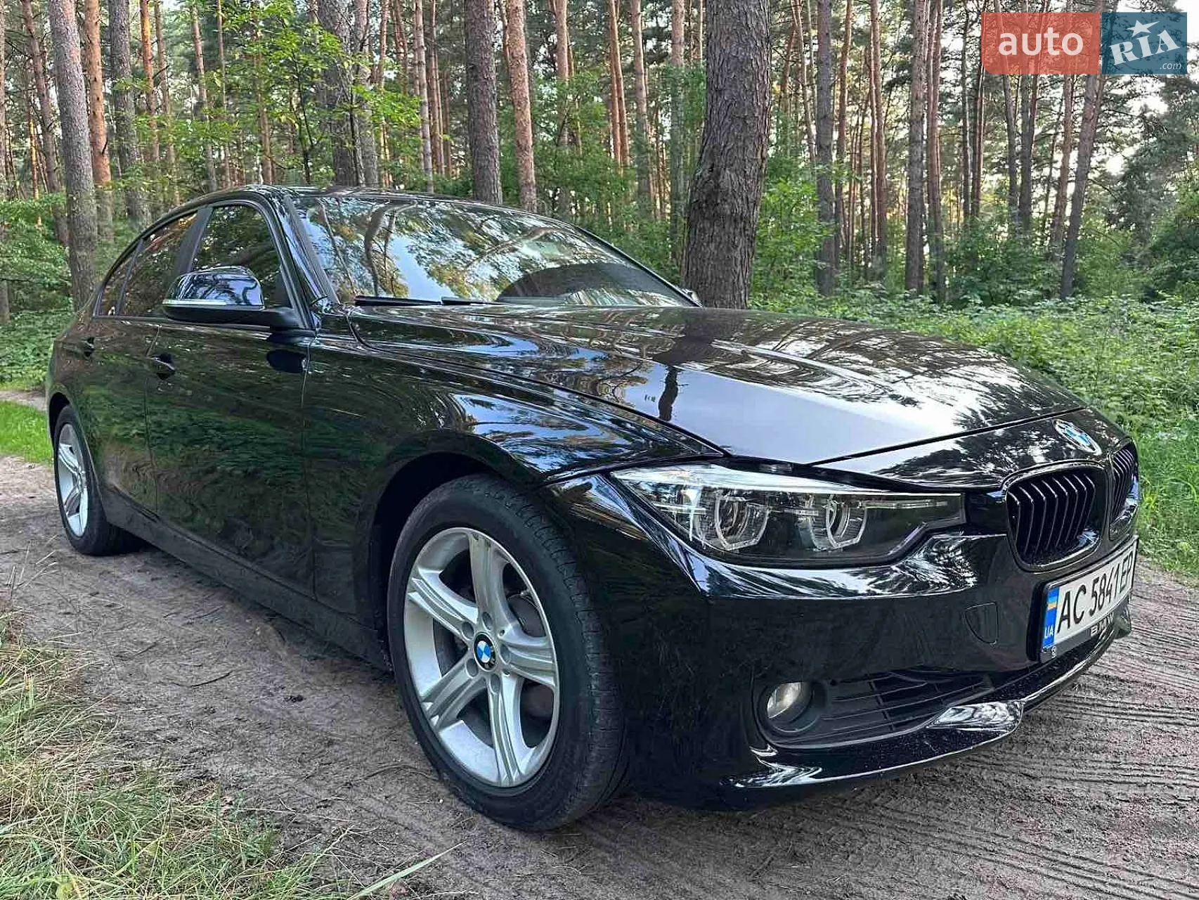 2013 BMW 3er - мініатюра 5