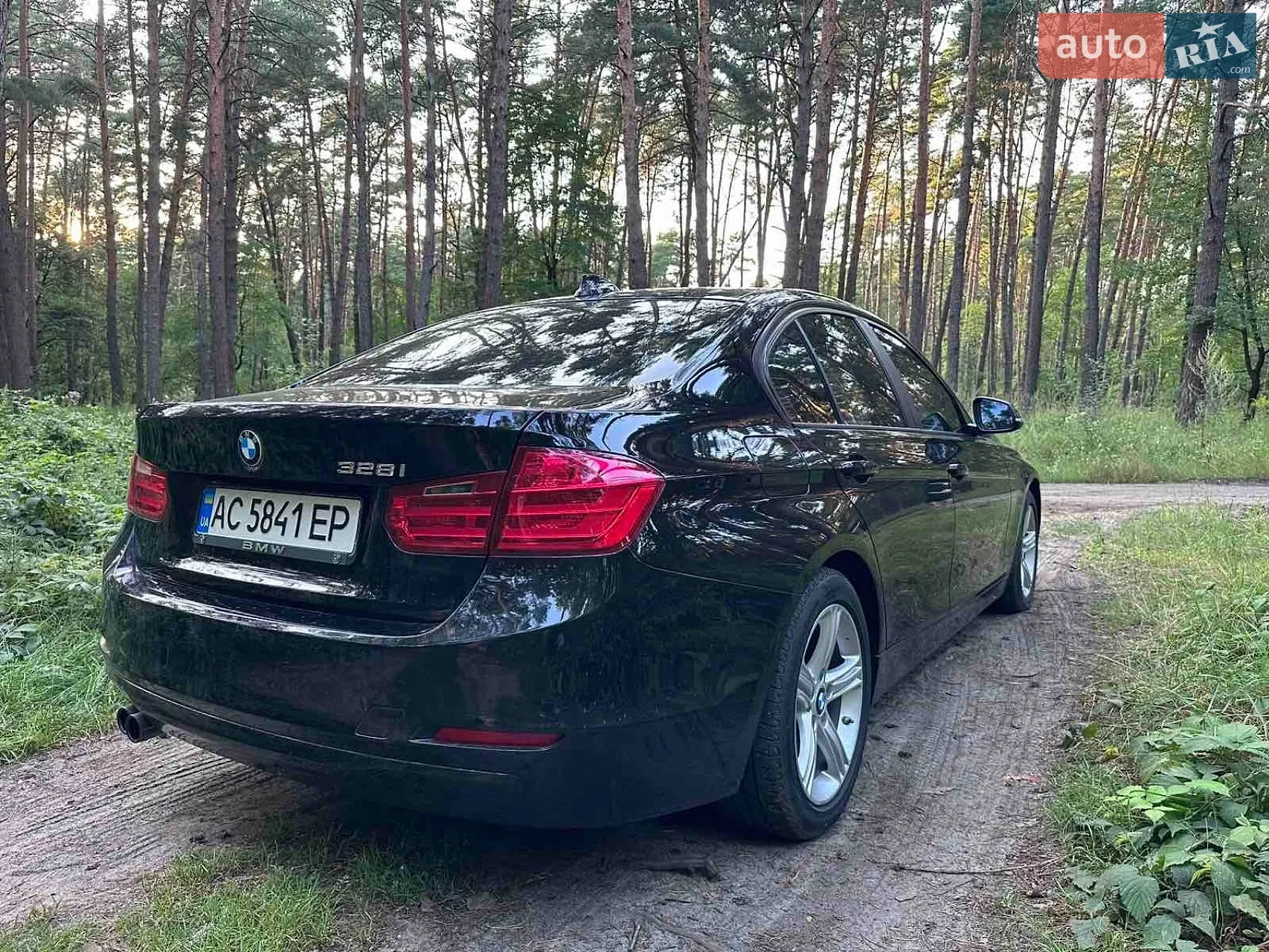 2013 BMW 3er - мініатюра 6