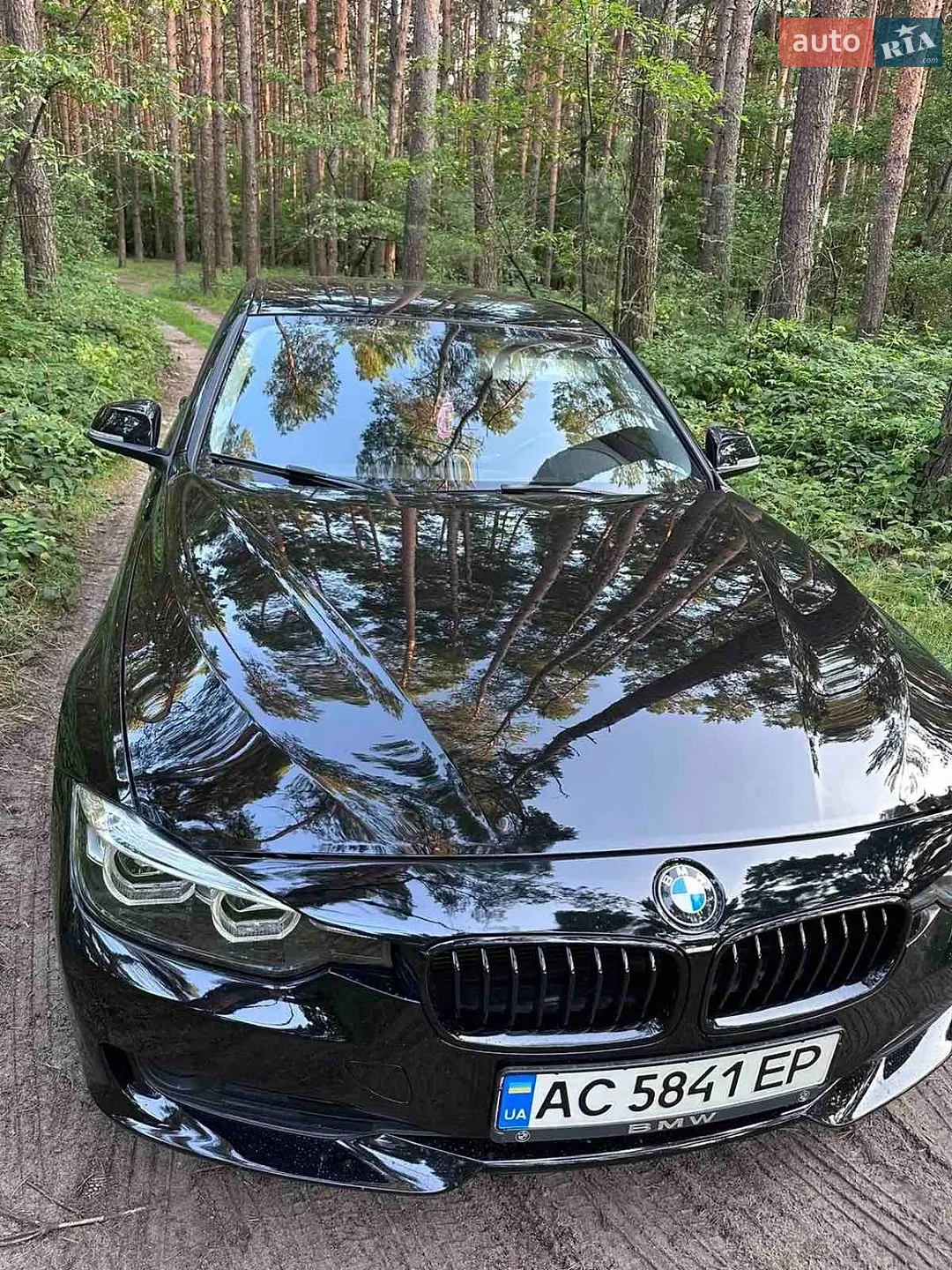 2013 BMW 3er - мініатюра 13