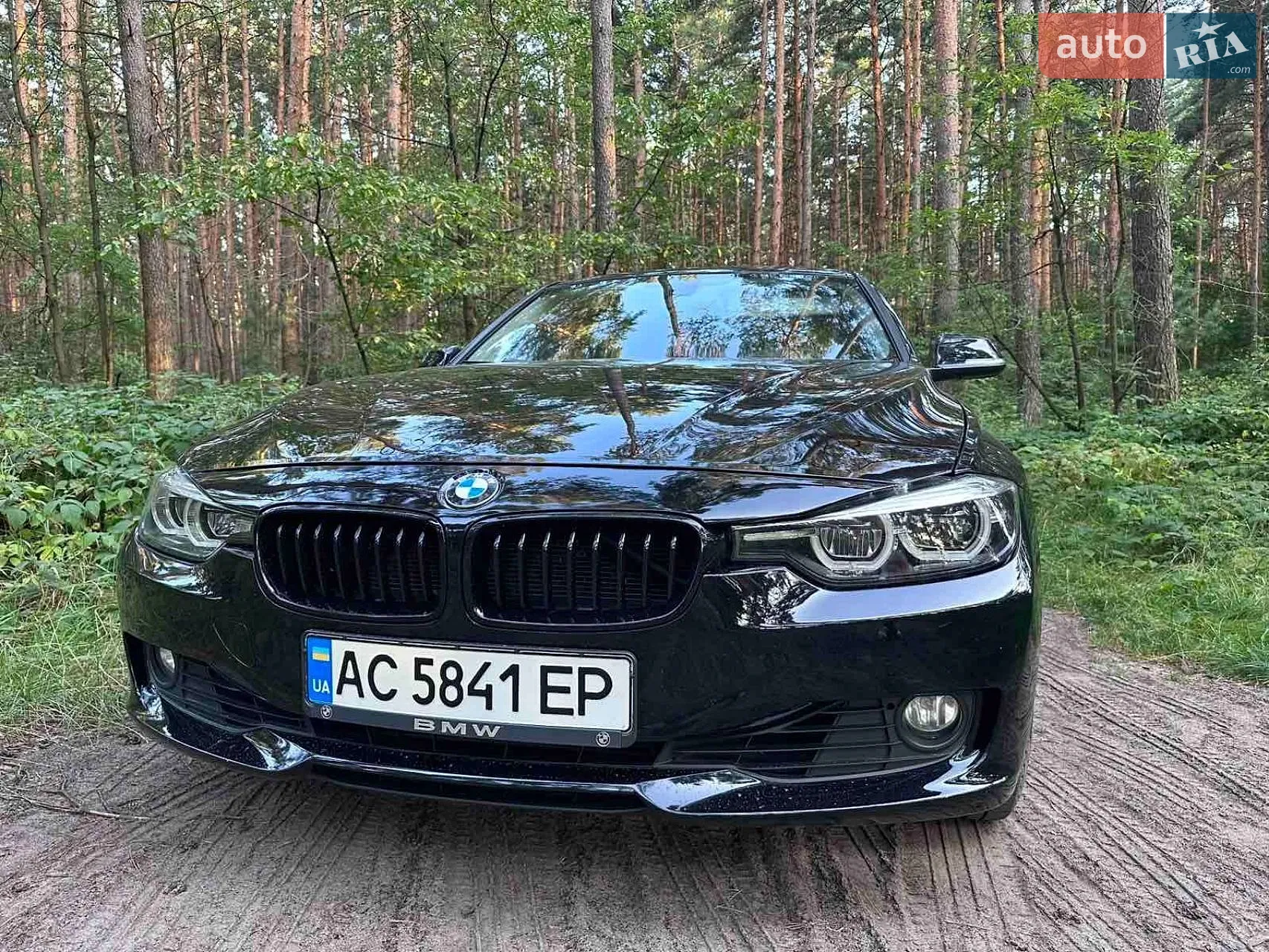 2013 BMW 3er - мініатюра 14