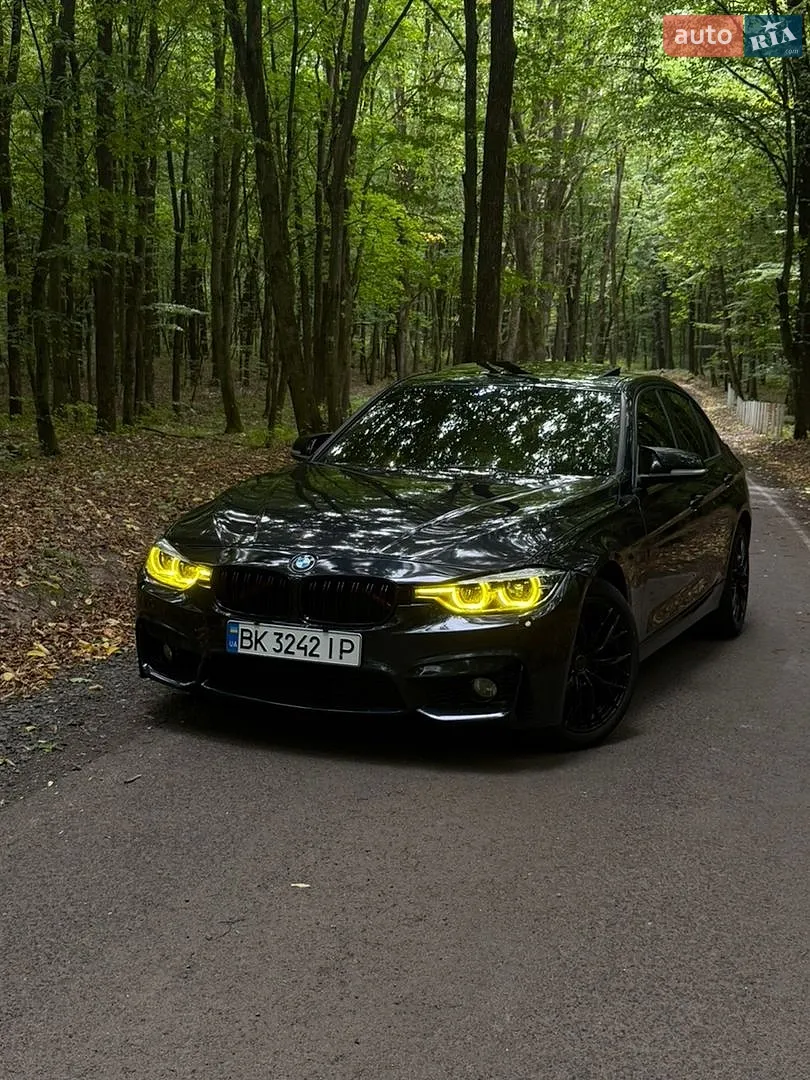 2013 BMW 3er - фото 1