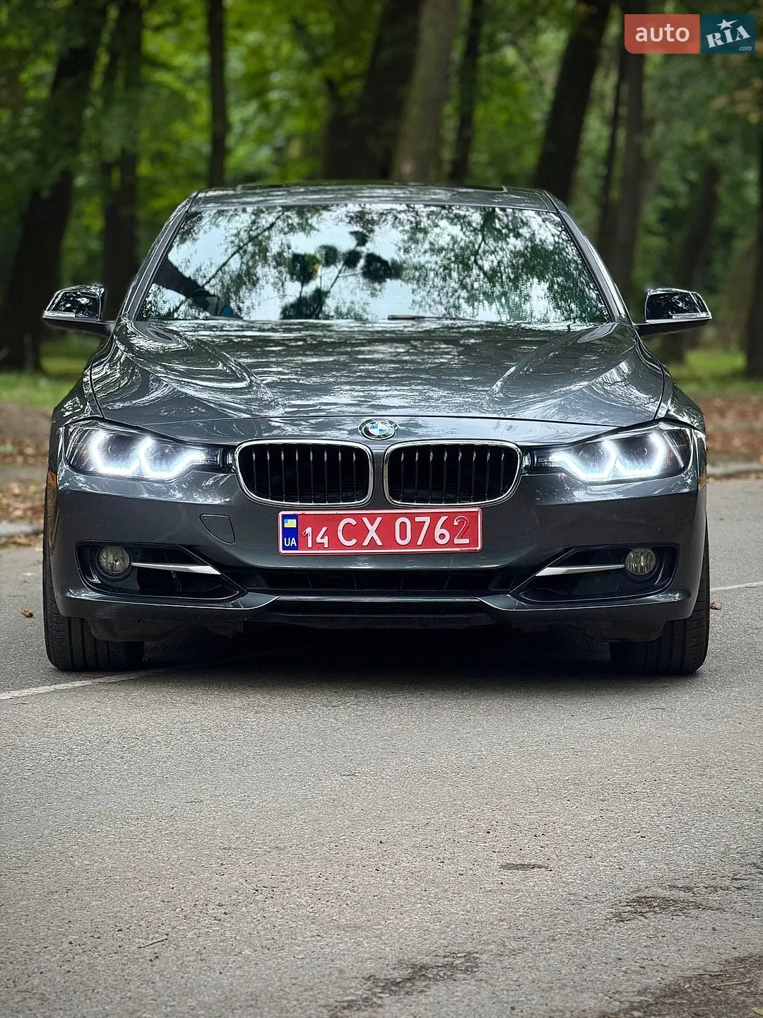 2013 BMW 3er - мініатюра 3