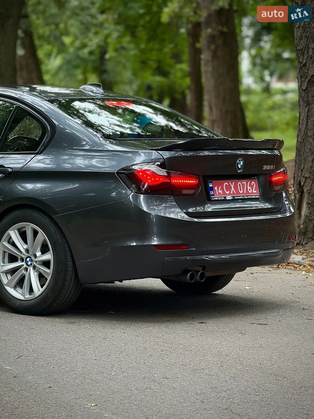 2013 BMW 3er - мініатюра 7