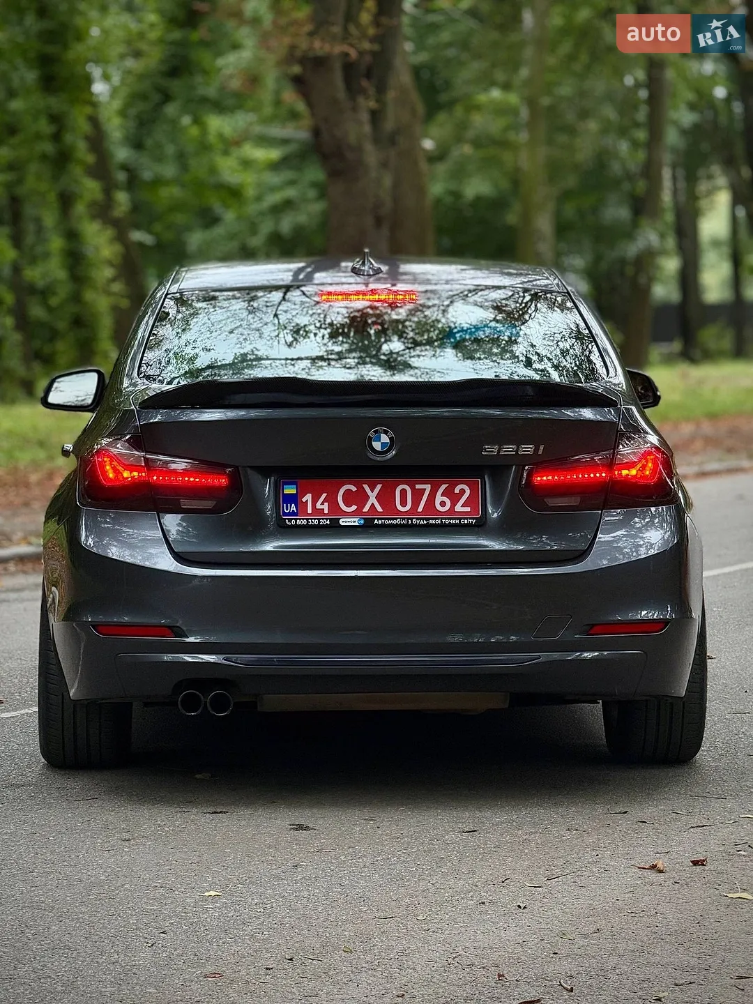 2013 BMW 3er - мініатюра 8