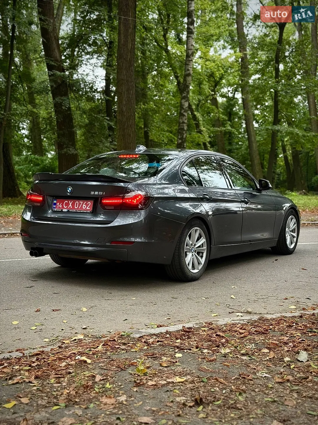2013 BMW 3er - мініатюра 9